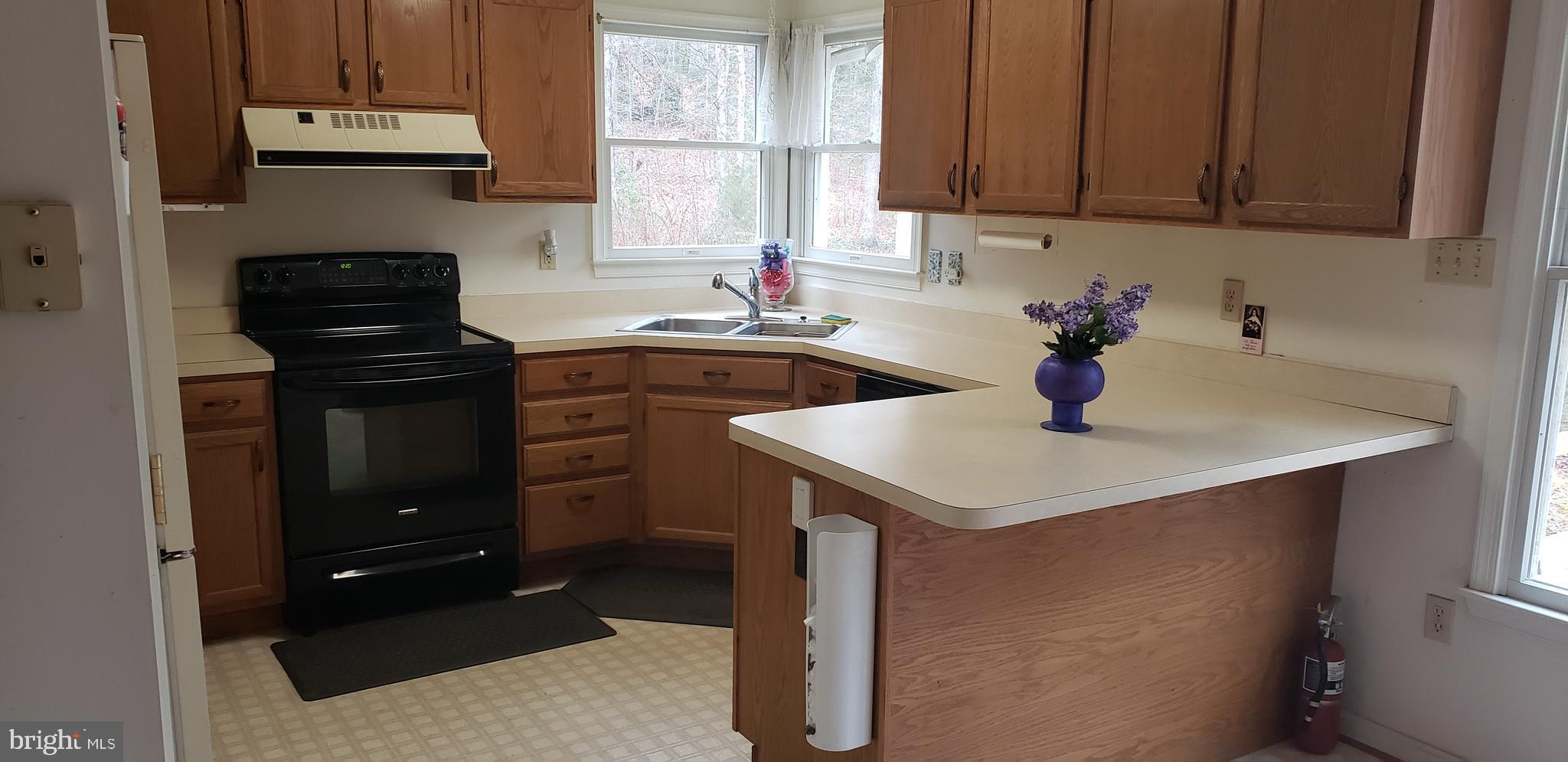 16172 Quail Ridge Drive Rixeyville, VA 22737 - Photo 10 of 33 KITCHEN