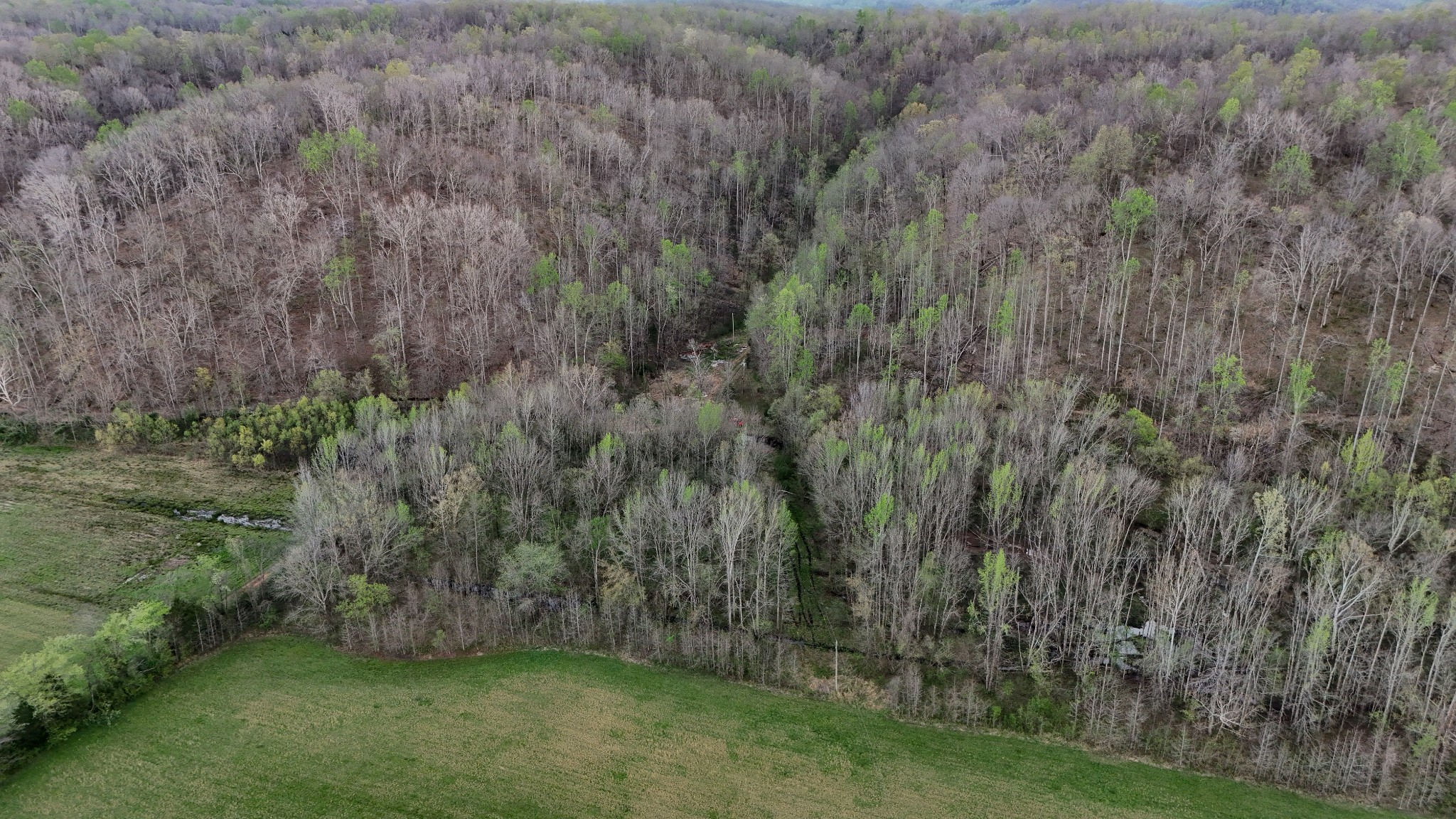 1755 Williams Road Centerville, TN 37033 - Photo 18 of 24 a view of a yard with a trees