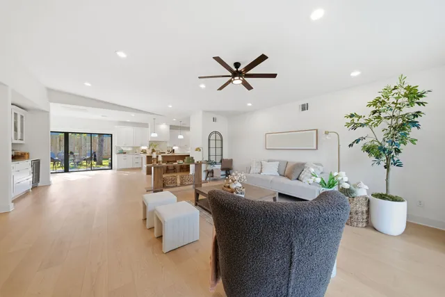 a living room with furniture and a potted plant