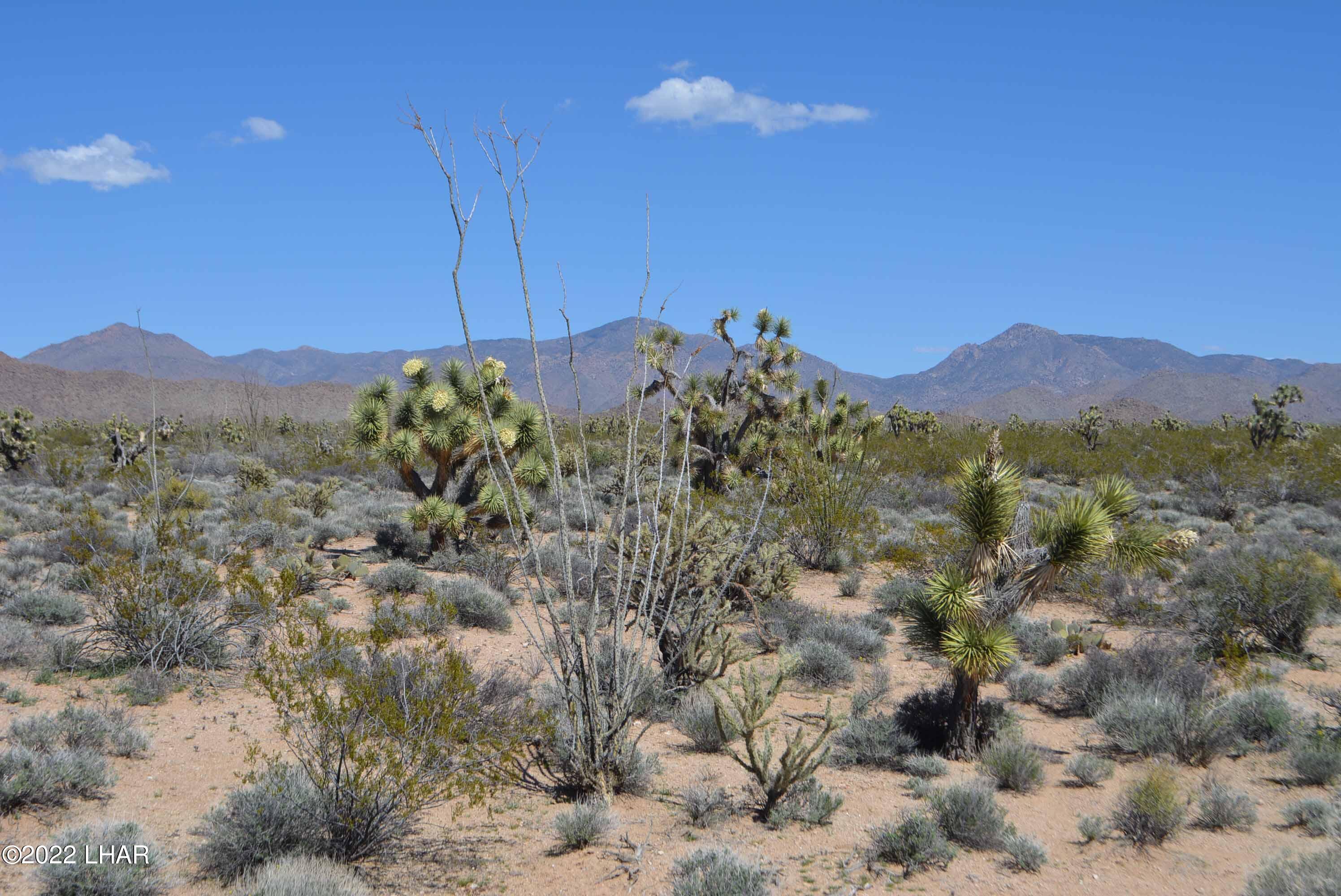 450 South Kit Carson Road Yucca, AZ 86438 - Photo 1 of 33 DSC_0769