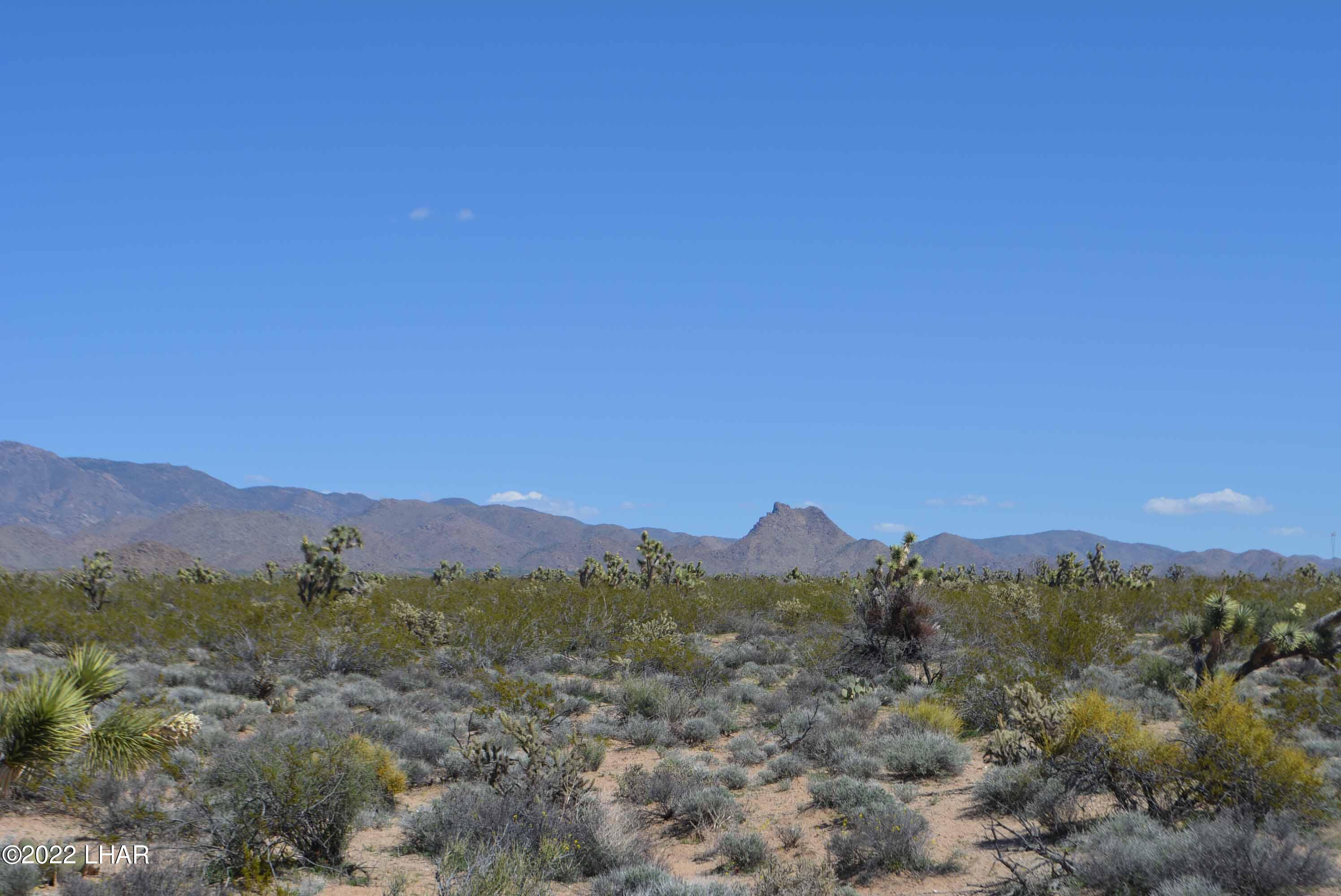 450 South Kit Carson Road Yucca, AZ 86438 - Photo 11 of 33 DSC_0770