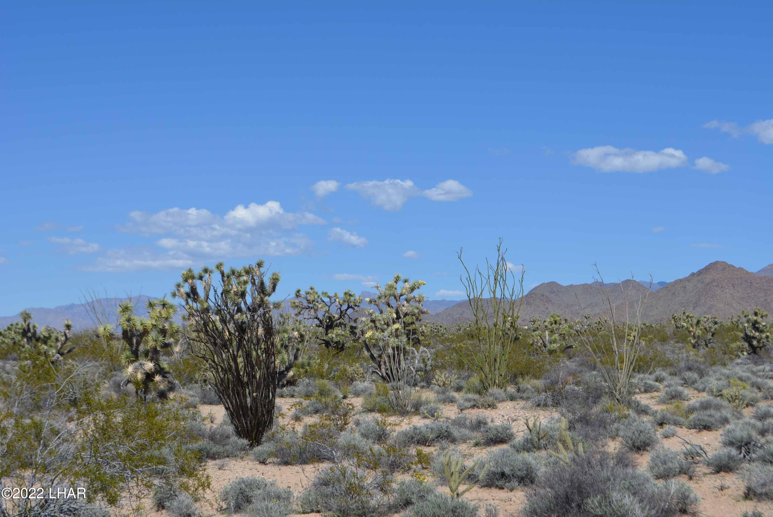 450 South Kit Carson Road Yucca, AZ 86438 - Photo 12 of 33 DSC_0771