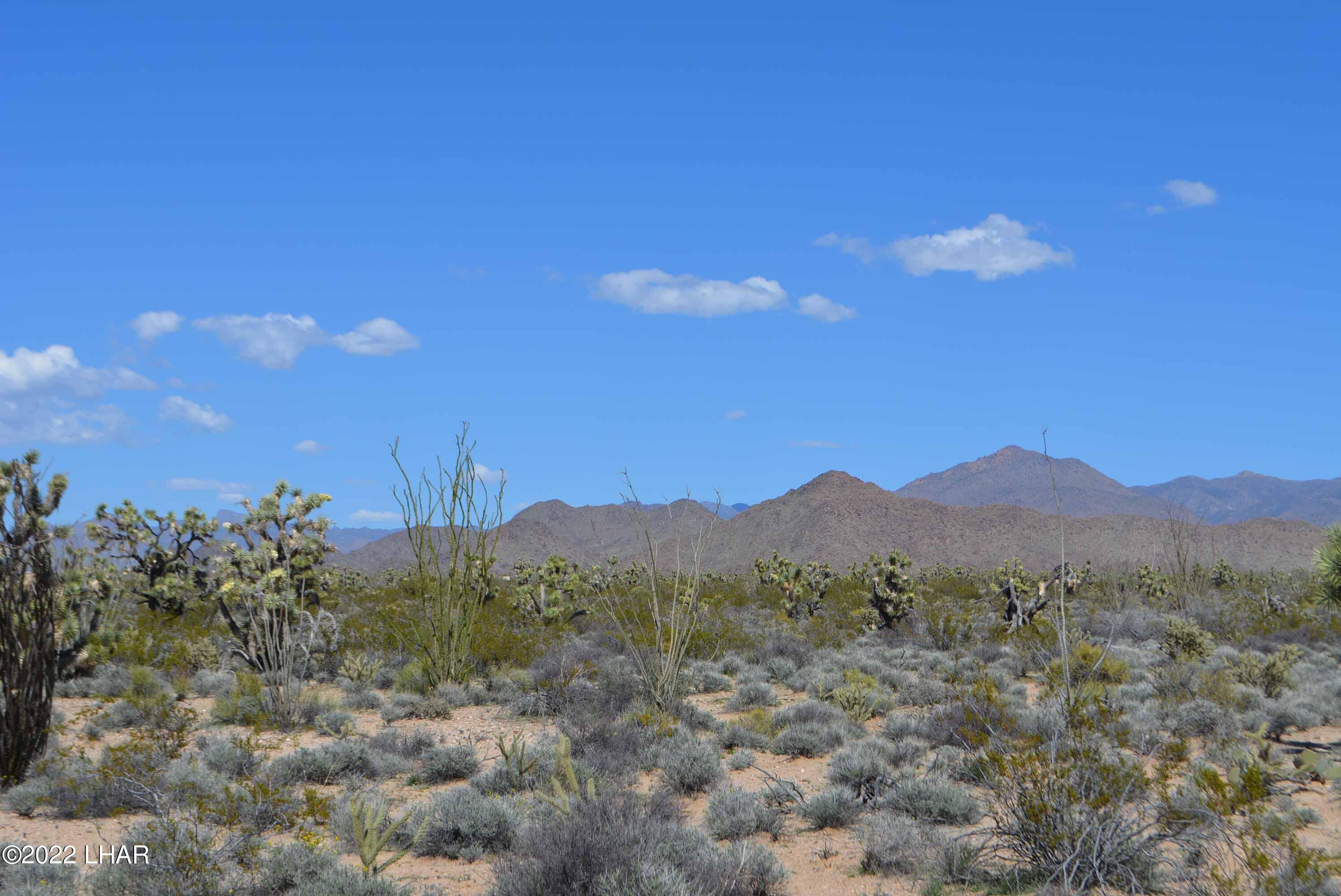 450 South Kit Carson Road Yucca, AZ 86438 - Photo 13 of 33 DSC_0772