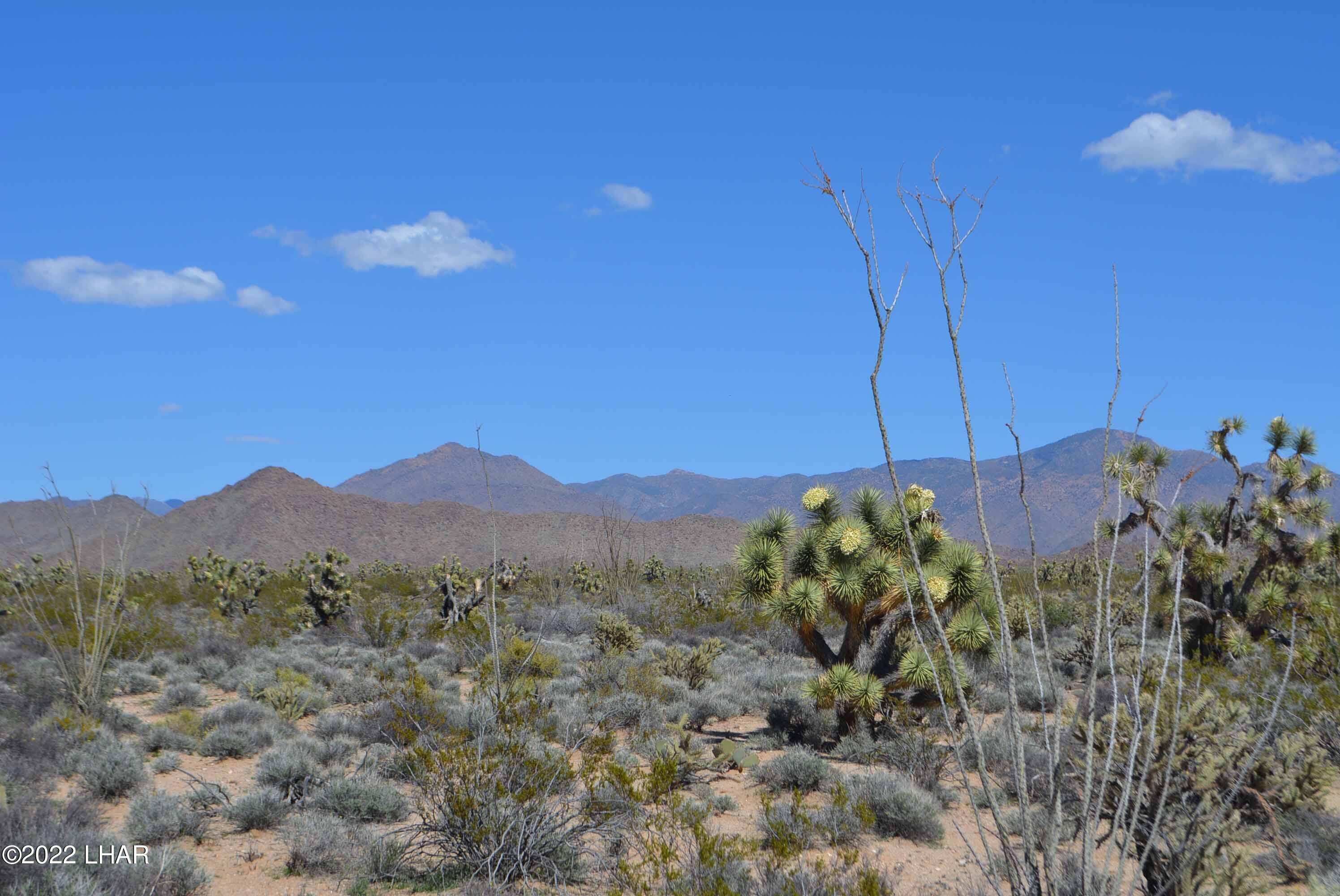 450 South Kit Carson Road Yucca, AZ 86438 - Photo 14 of 33 DSC_0773