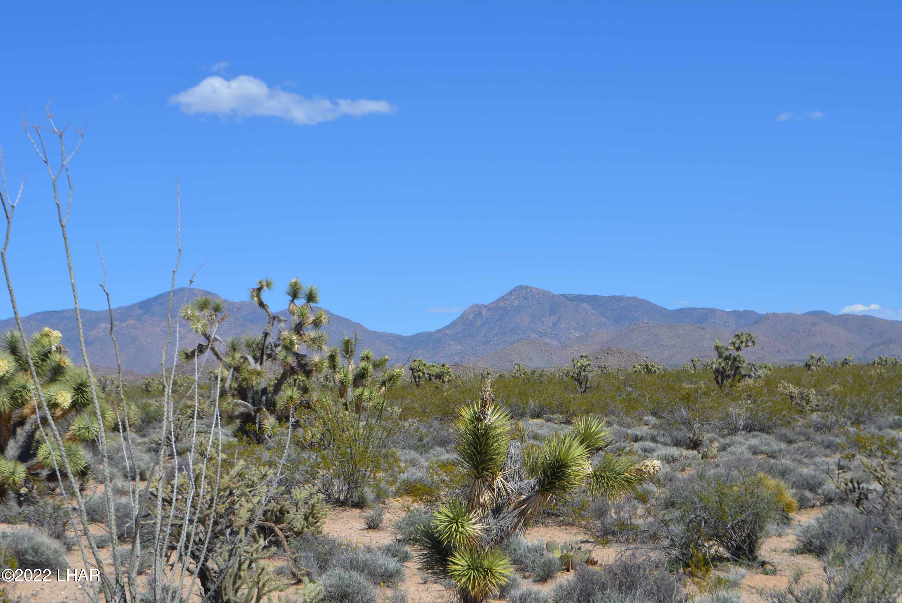 450 South Kit Carson Road Yucca, AZ 86438 - Photo 15 of 33 DSC_0774