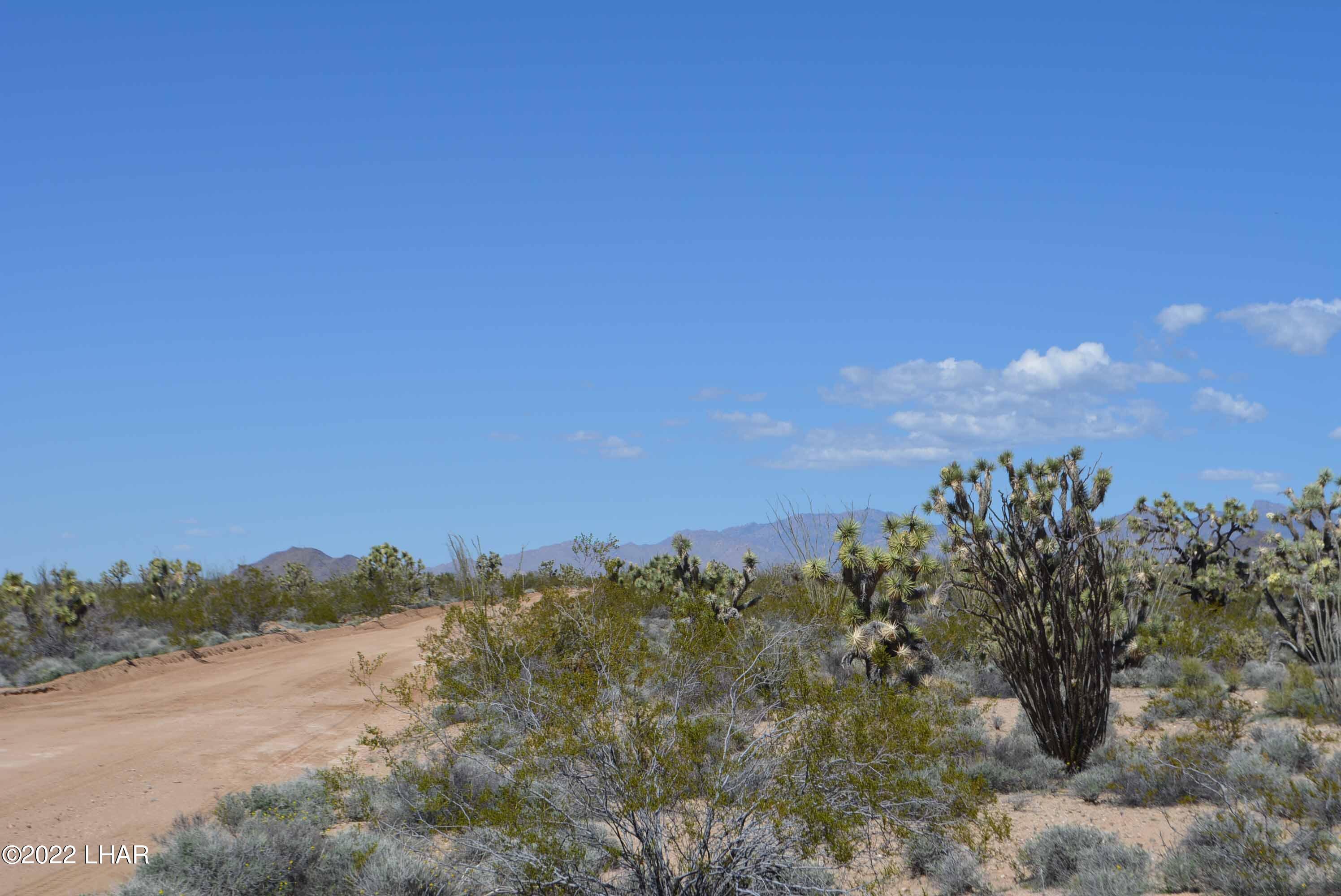 450 South Kit Carson Road Yucca, AZ 86438 - Photo 16 of 33 DSC_0775