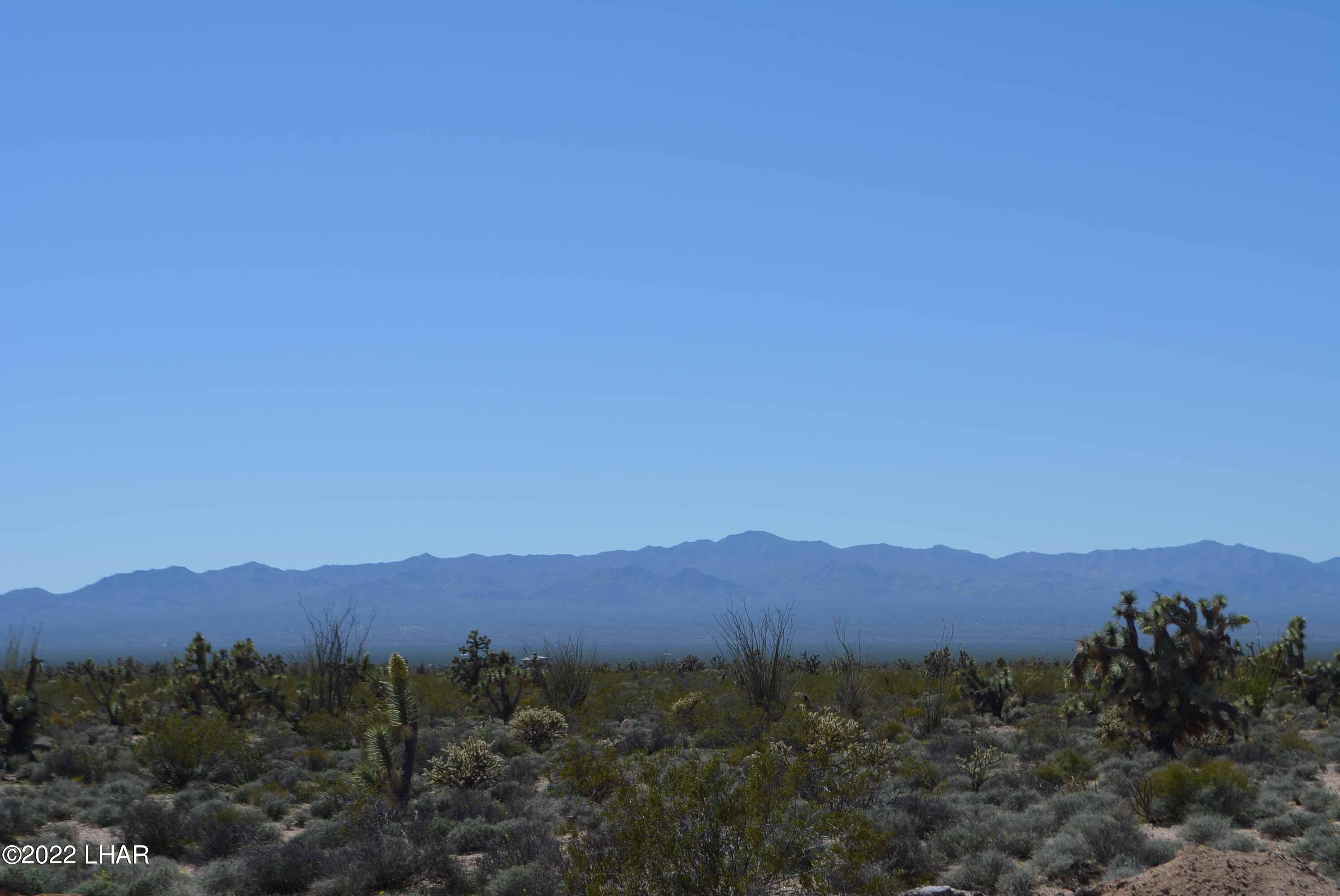 450 South Kit Carson Road Yucca, AZ 86438 - Photo 17 of 33 DSC_0776