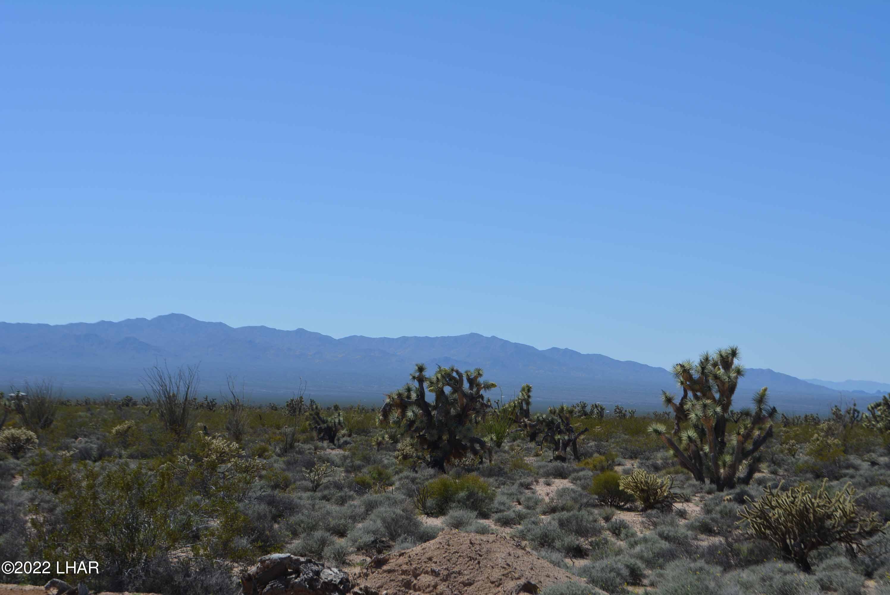 450 South Kit Carson Road Yucca, AZ 86438 - Photo 18 of 33 DSC_0777