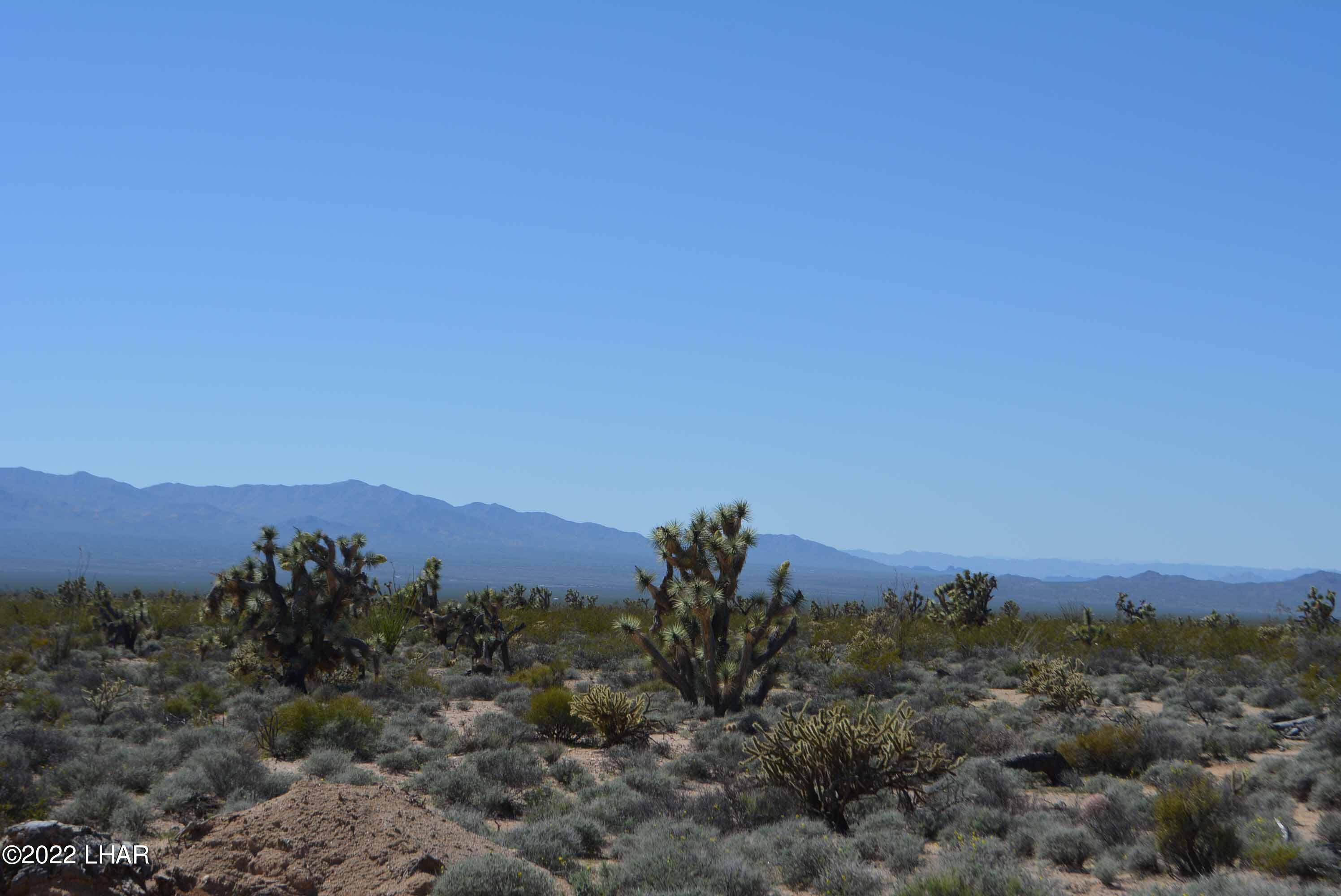 450 South Kit Carson Road Yucca, AZ 86438 - Photo 19 of 33 DSC_0778