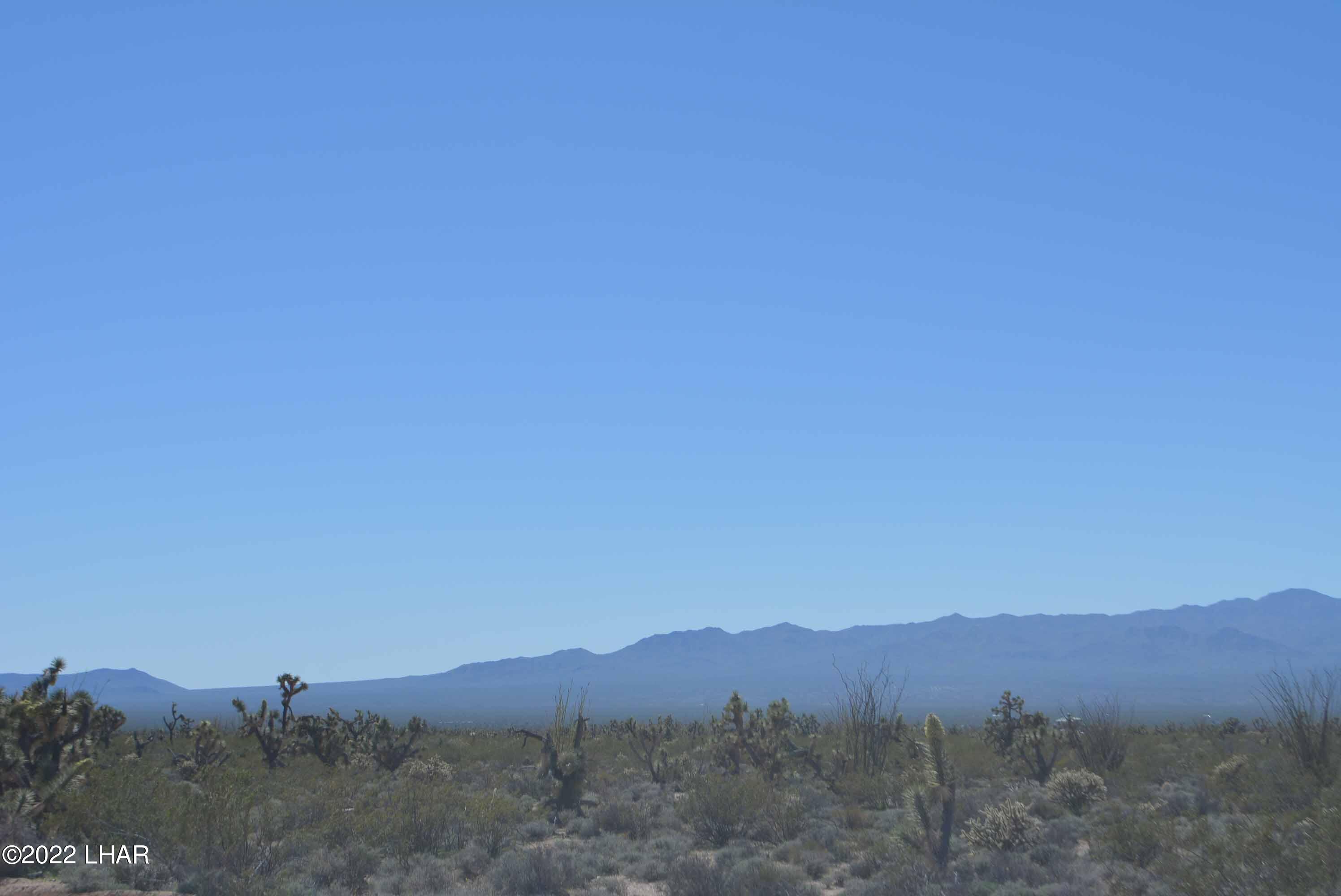 450 South Kit Carson Road Yucca, AZ 86438 - Photo 20 of 33 DSC_0779
