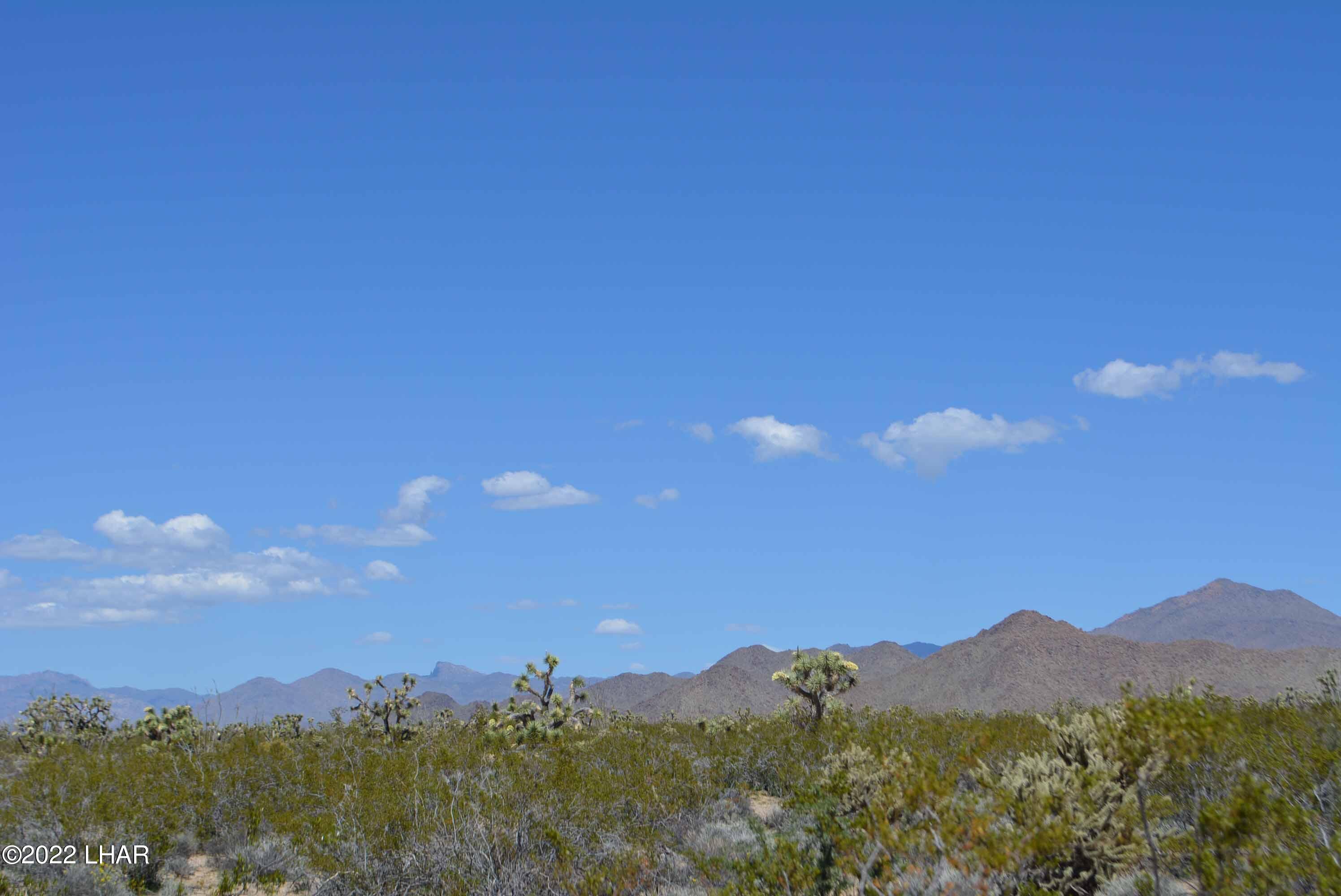 450 South Kit Carson Road Yucca, AZ 86438 - Photo 2 of 33 DSC_0759