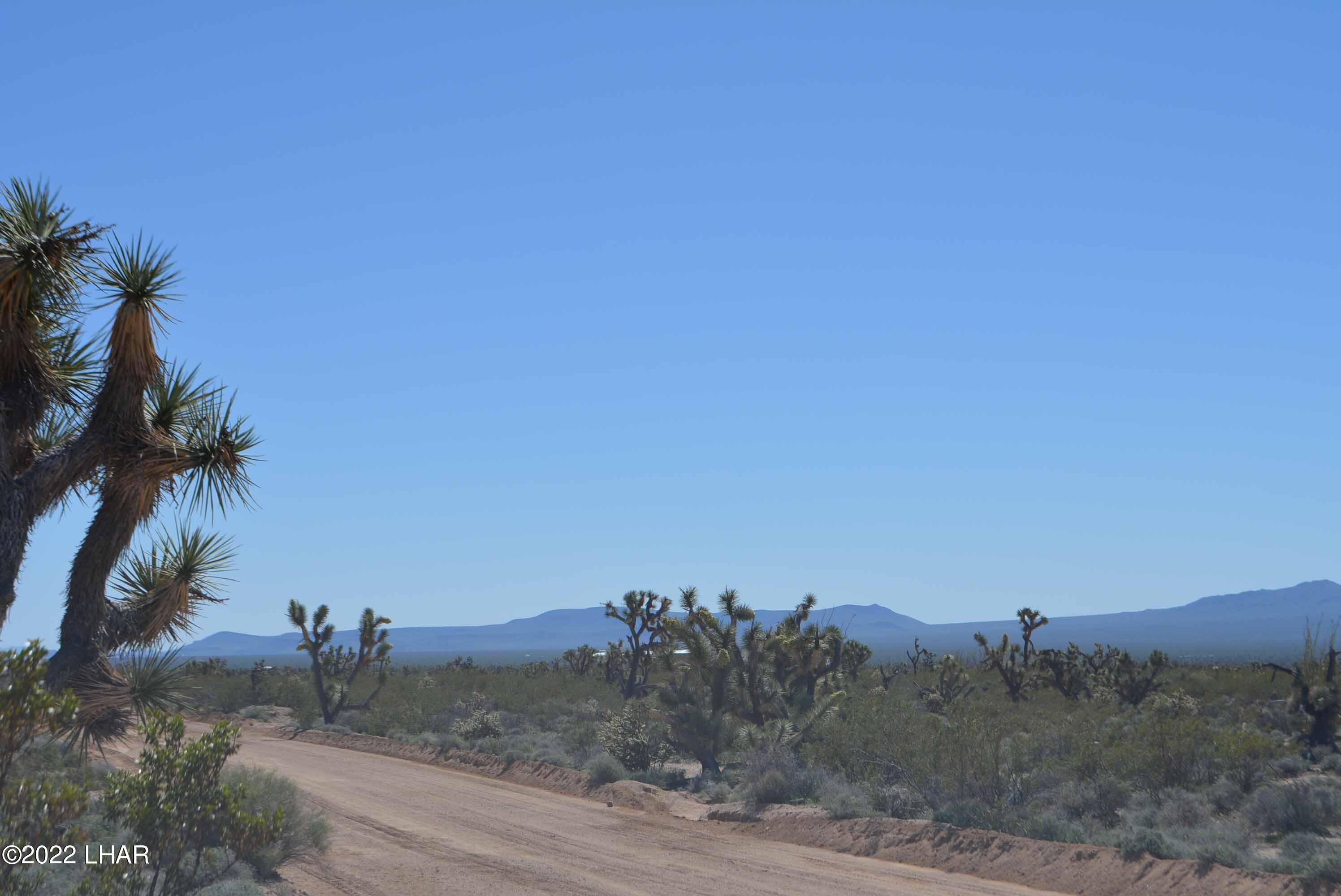 450 South Kit Carson Road Yucca, AZ 86438 - Photo 21 of 33 DSC_0780