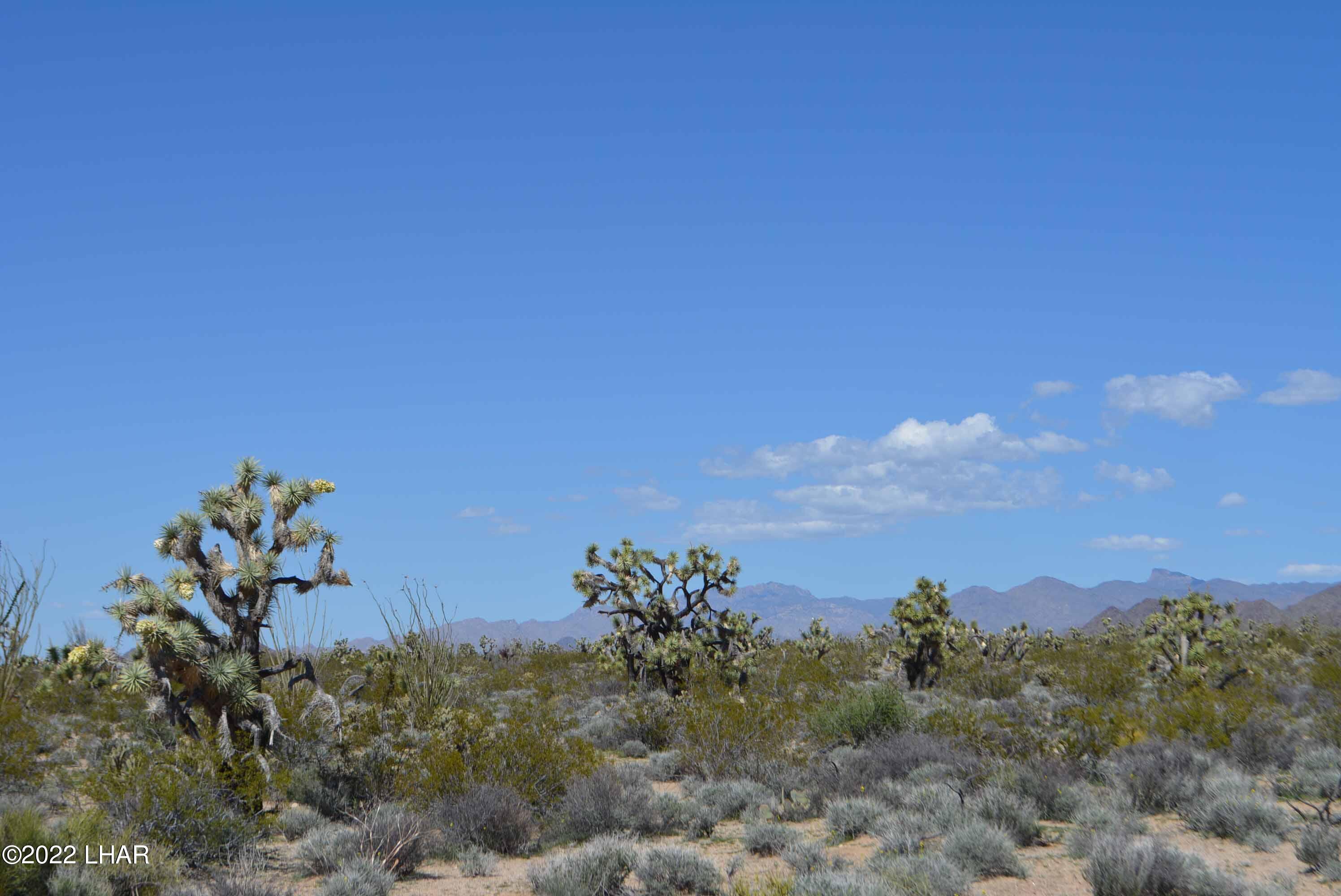 450 South Kit Carson Road Yucca, AZ 86438 - Photo 23 of 33 DSC_0782