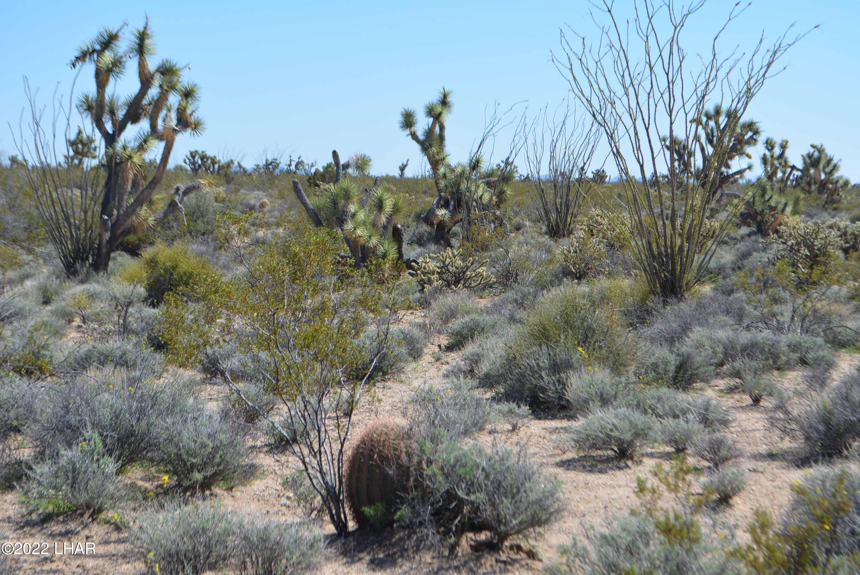 450 South Kit Carson Road Yucca, AZ 86438 - Photo 25 of 33 DSC_0784