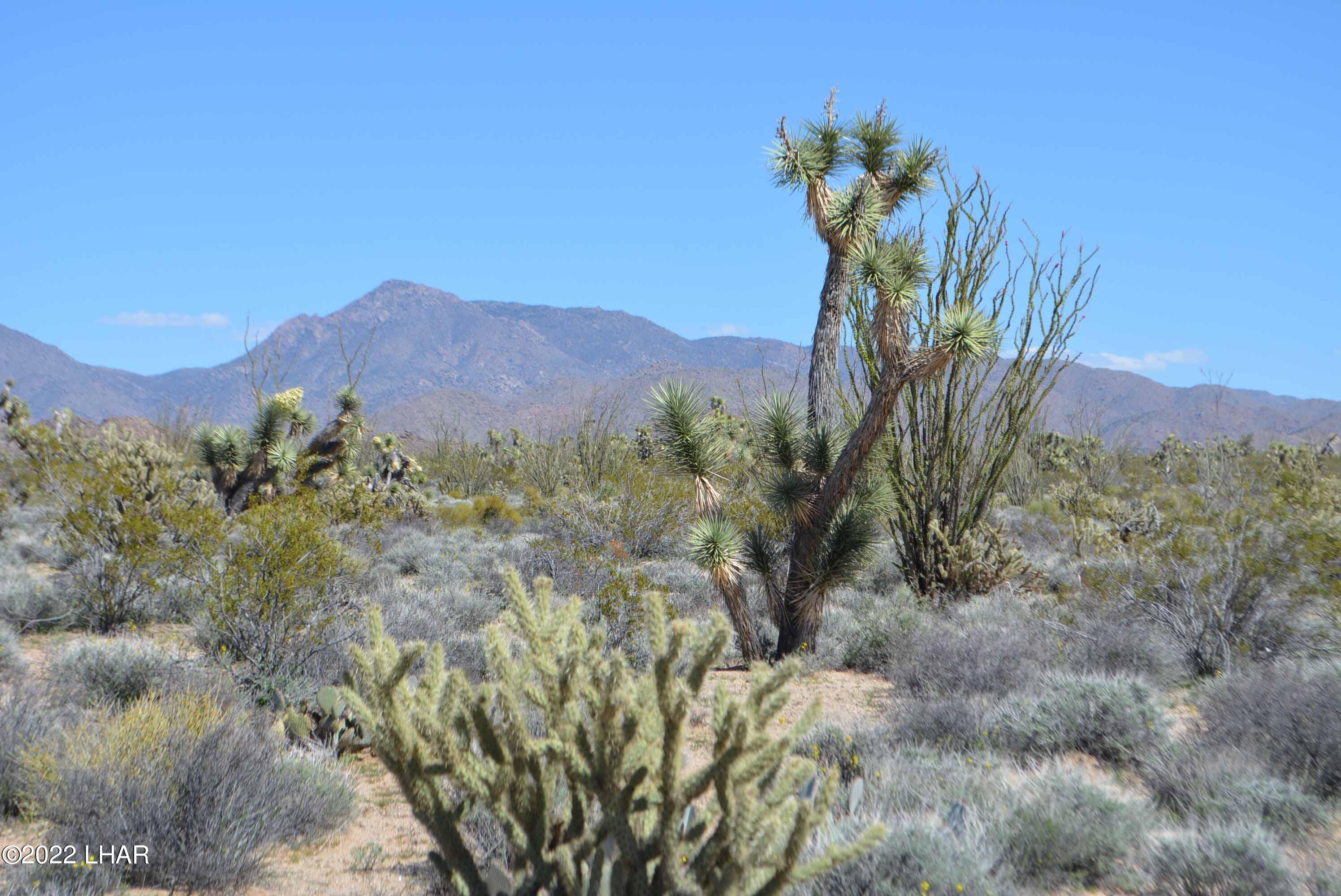 450 South Kit Carson Road Yucca, AZ 86438 - Photo 26 of 33 DSC_0785