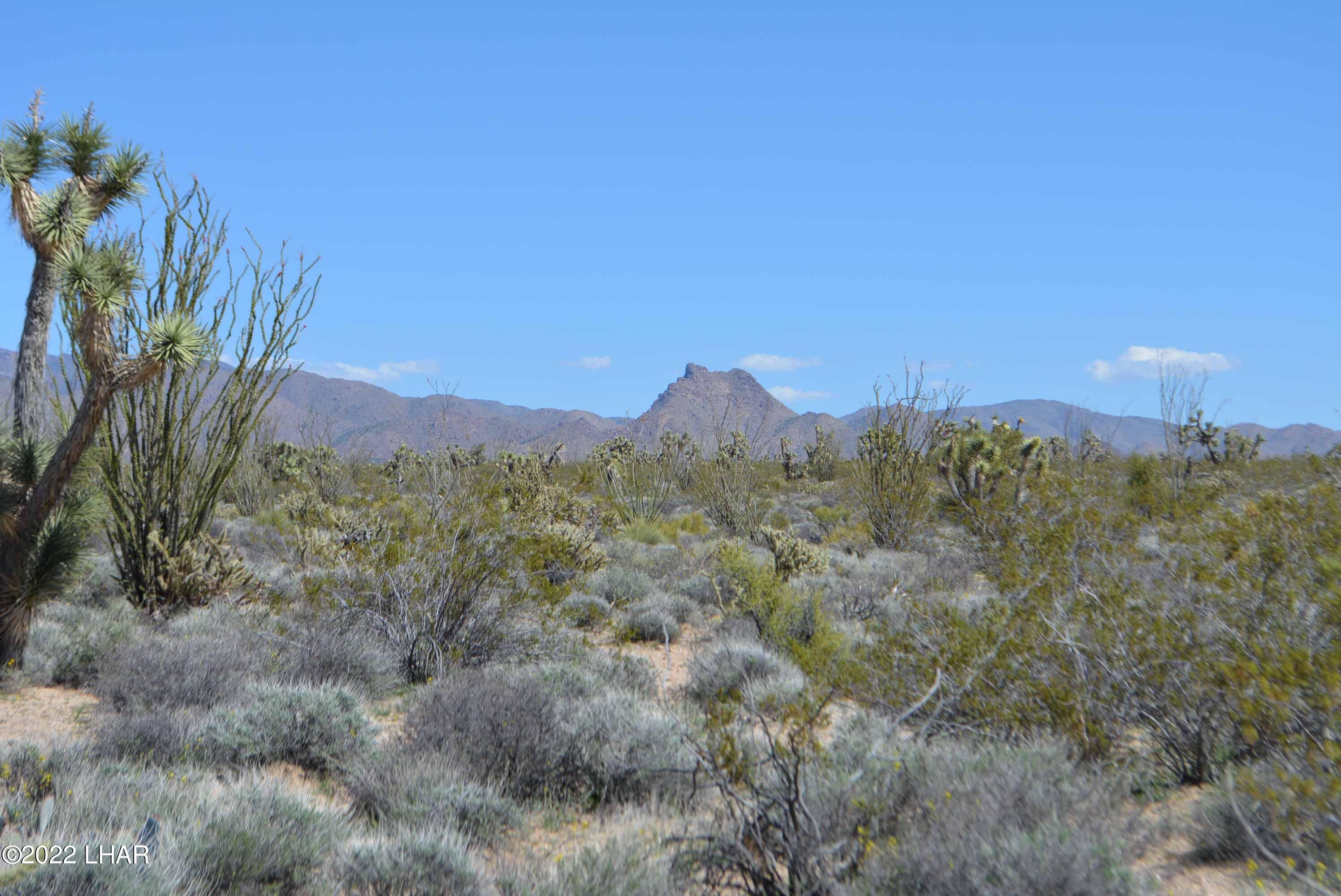450 South Kit Carson Road Yucca, AZ 86438 - Photo 27 of 33 DSC_0786