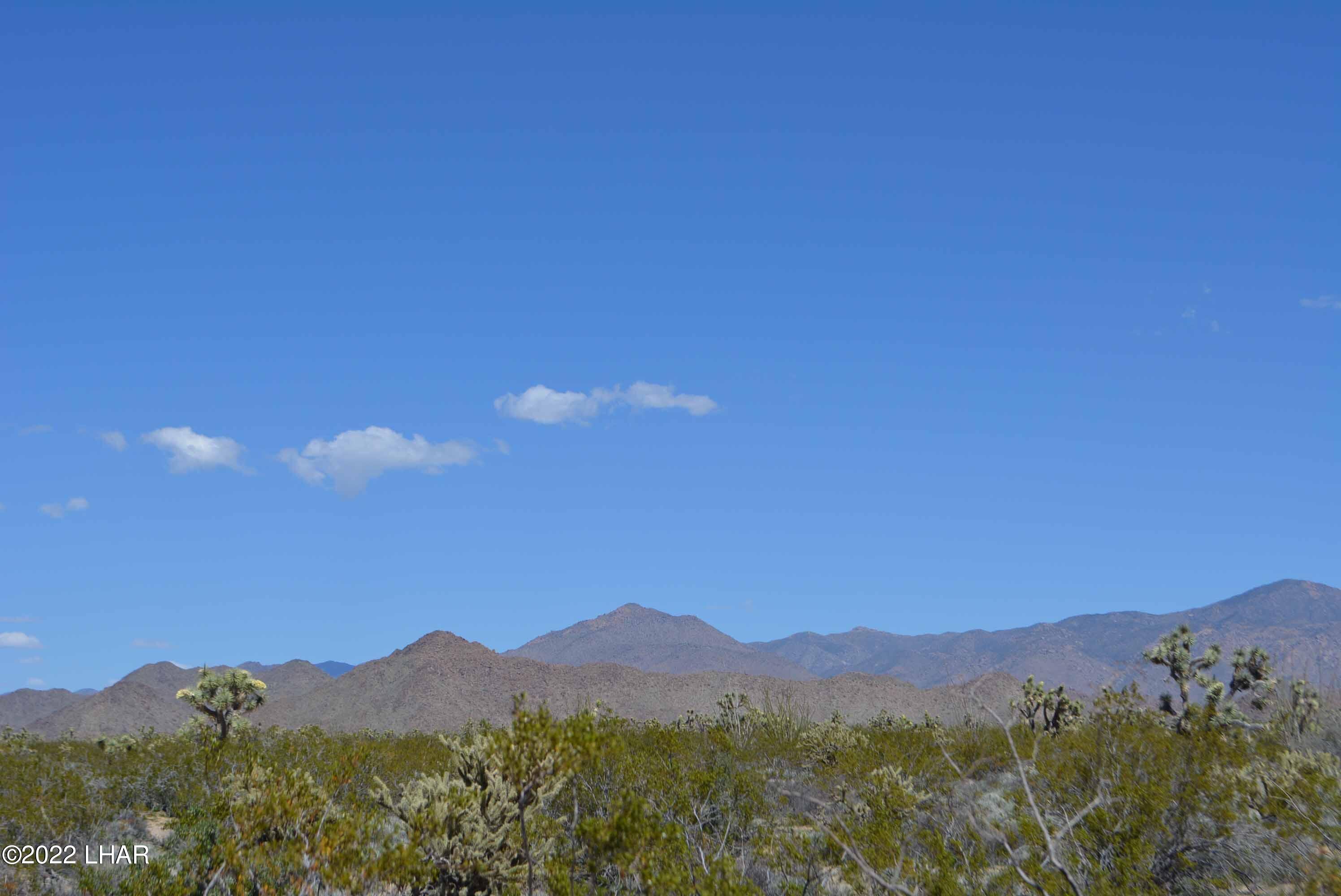 450 South Kit Carson Road Yucca, AZ 86438 - Photo 3 of 33 DSC_0760