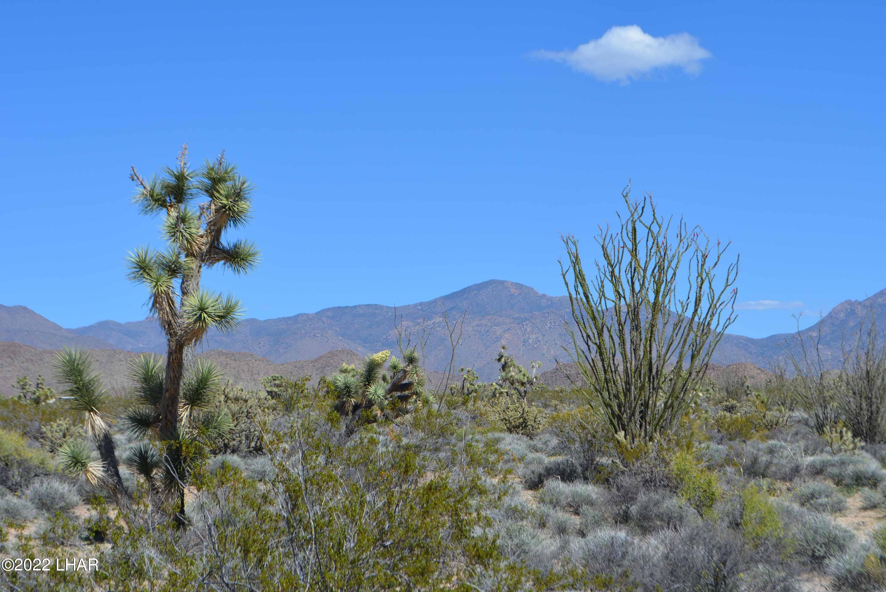 450 South Kit Carson Road Yucca, AZ 86438 - Photo 32 of 33 DSC_0791