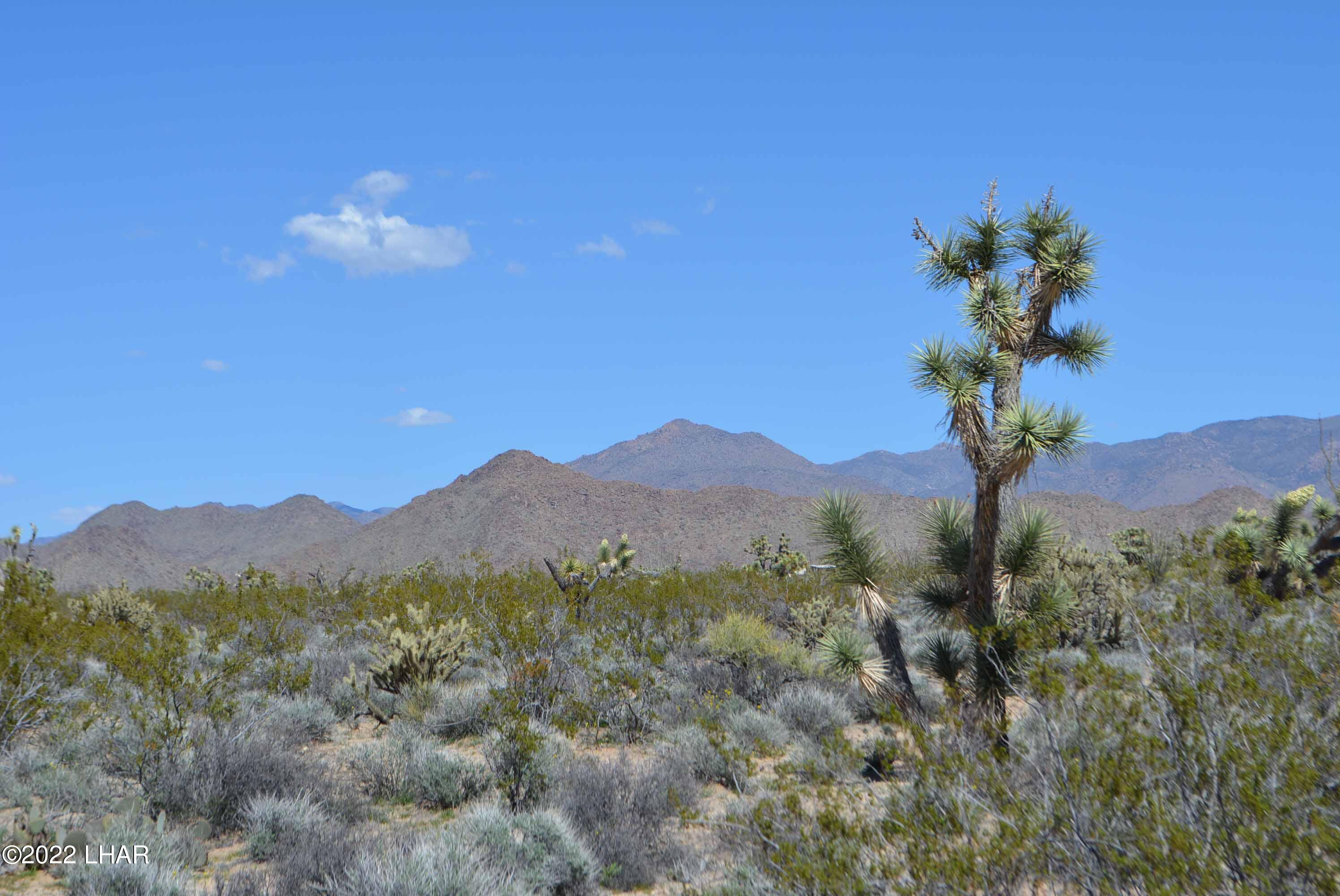 450 South Kit Carson Road Yucca, AZ 86438 - Photo 33 of 33 DSC_0792