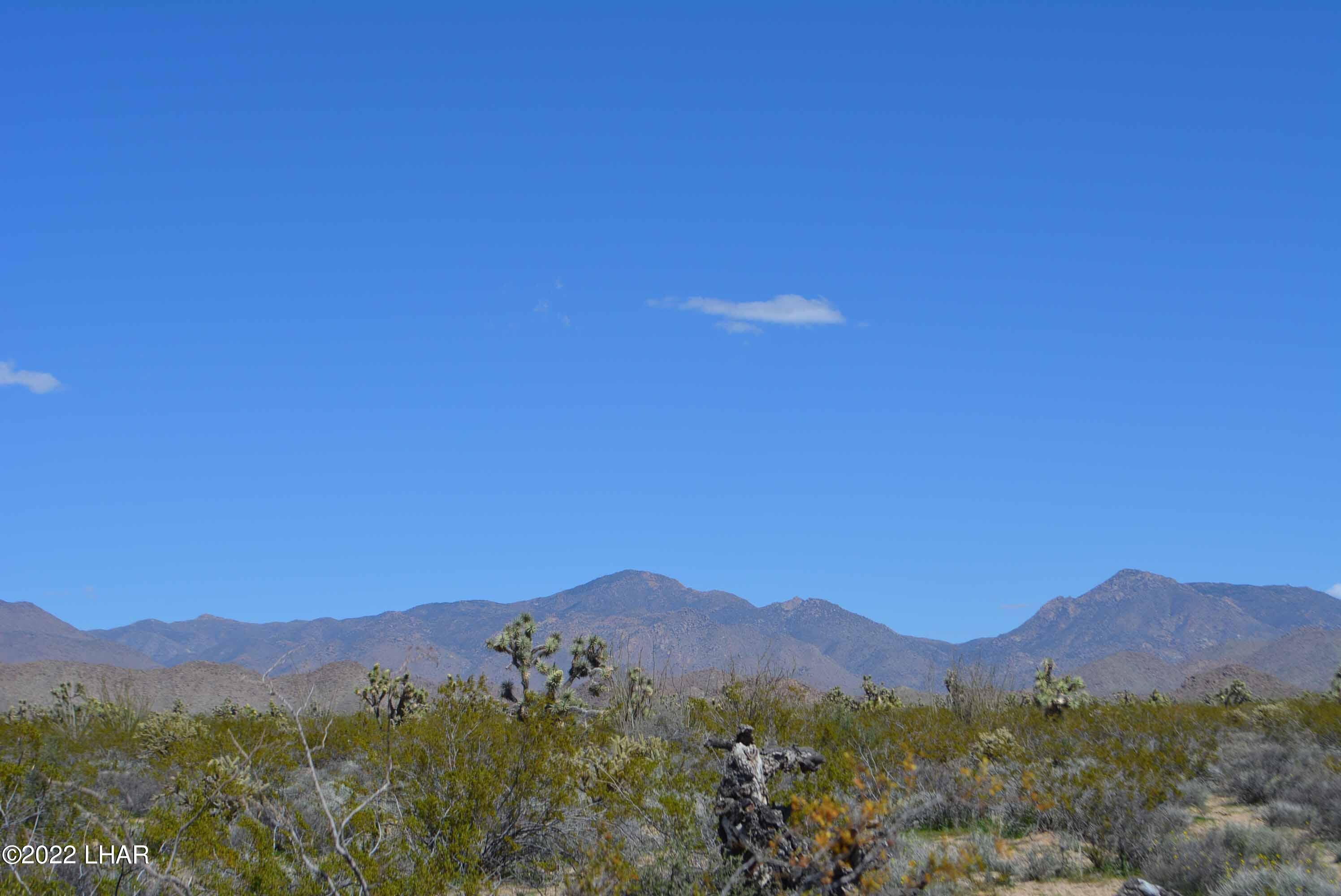 450 South Kit Carson Road Yucca, AZ 86438 - Photo 4 of 33 DSC_0761