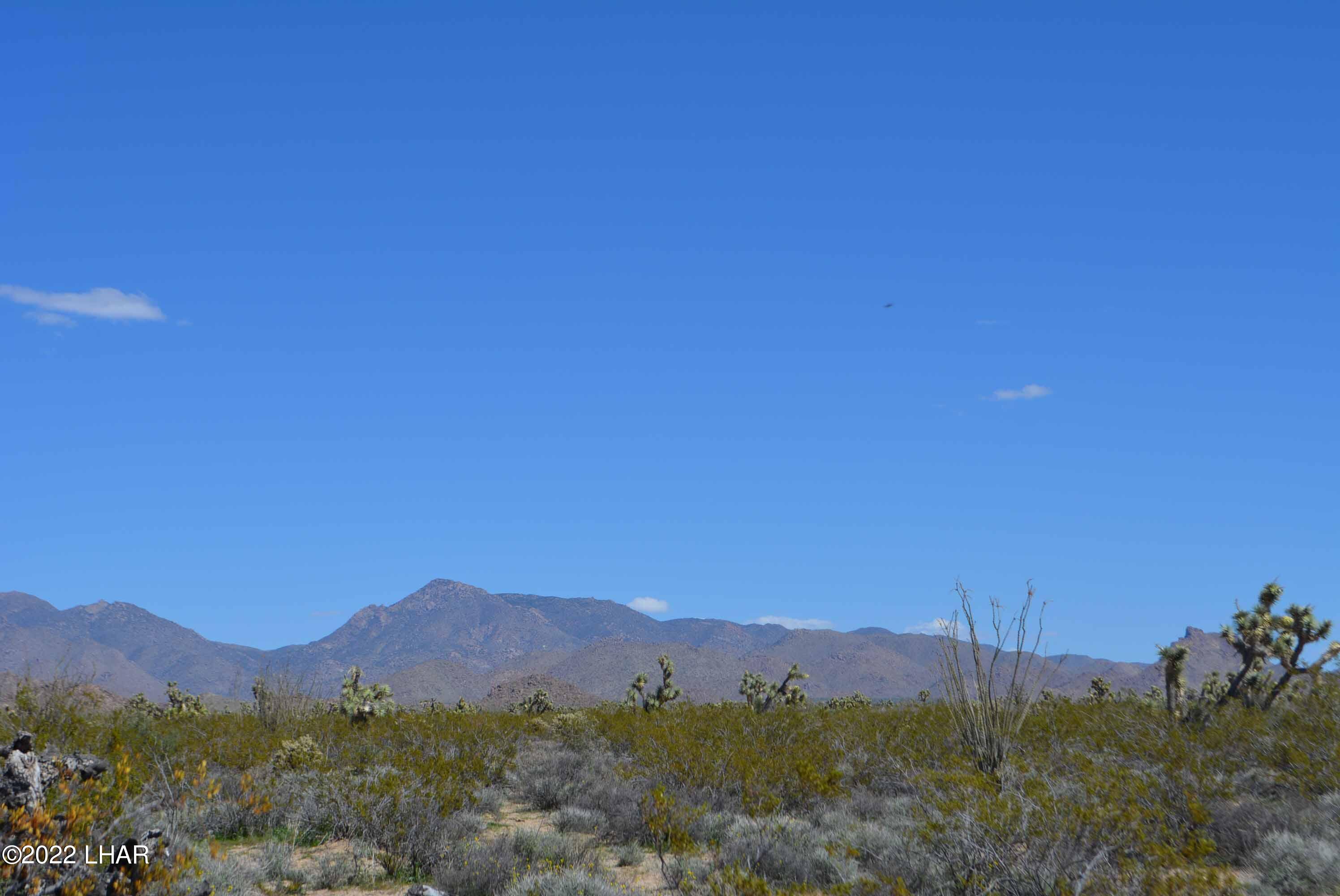 450 South Kit Carson Road Yucca, AZ 86438 - Photo 5 of 33 DSC_0762
