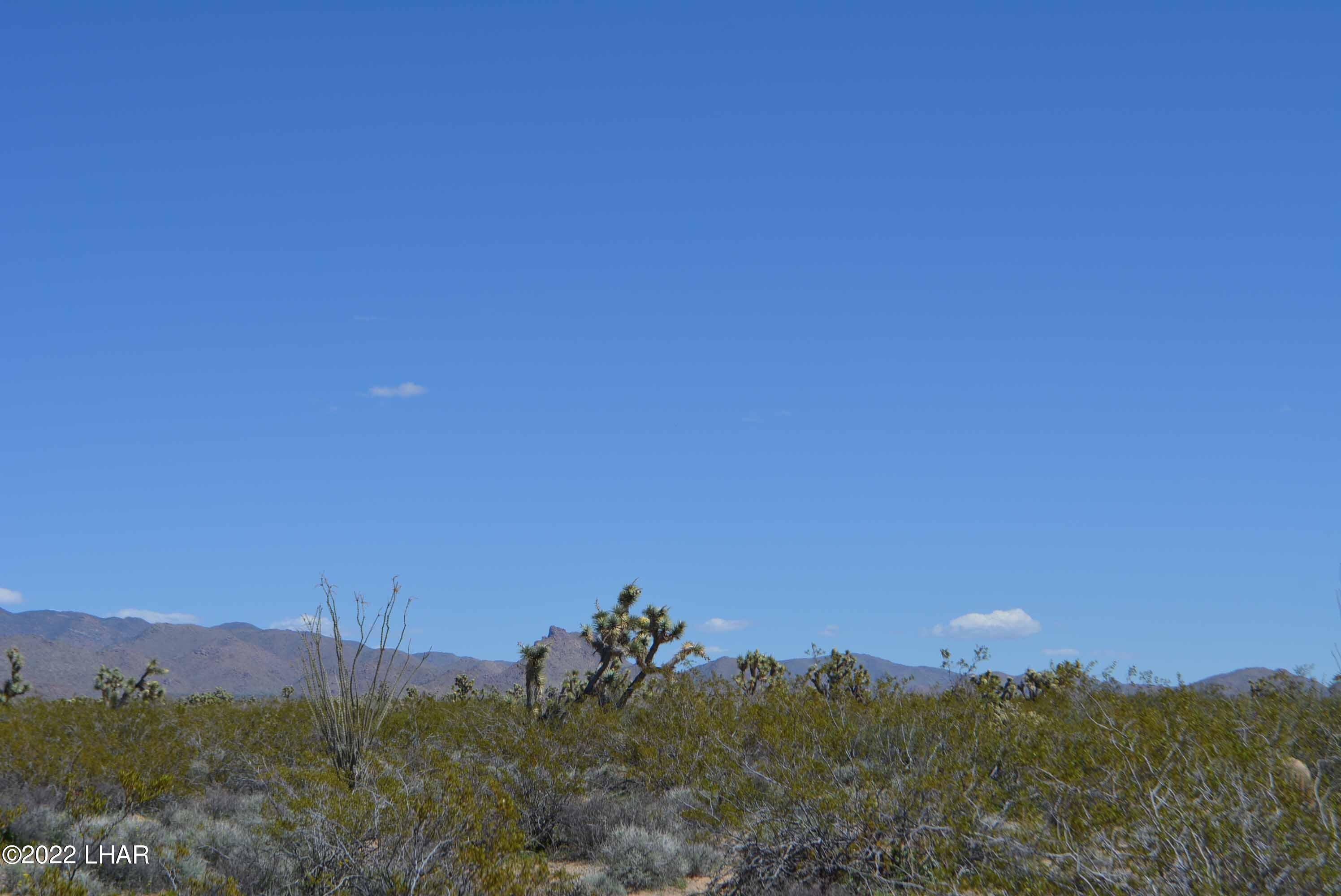 450 South Kit Carson Road Yucca, AZ 86438 - Photo 6 of 33 DSC_0763