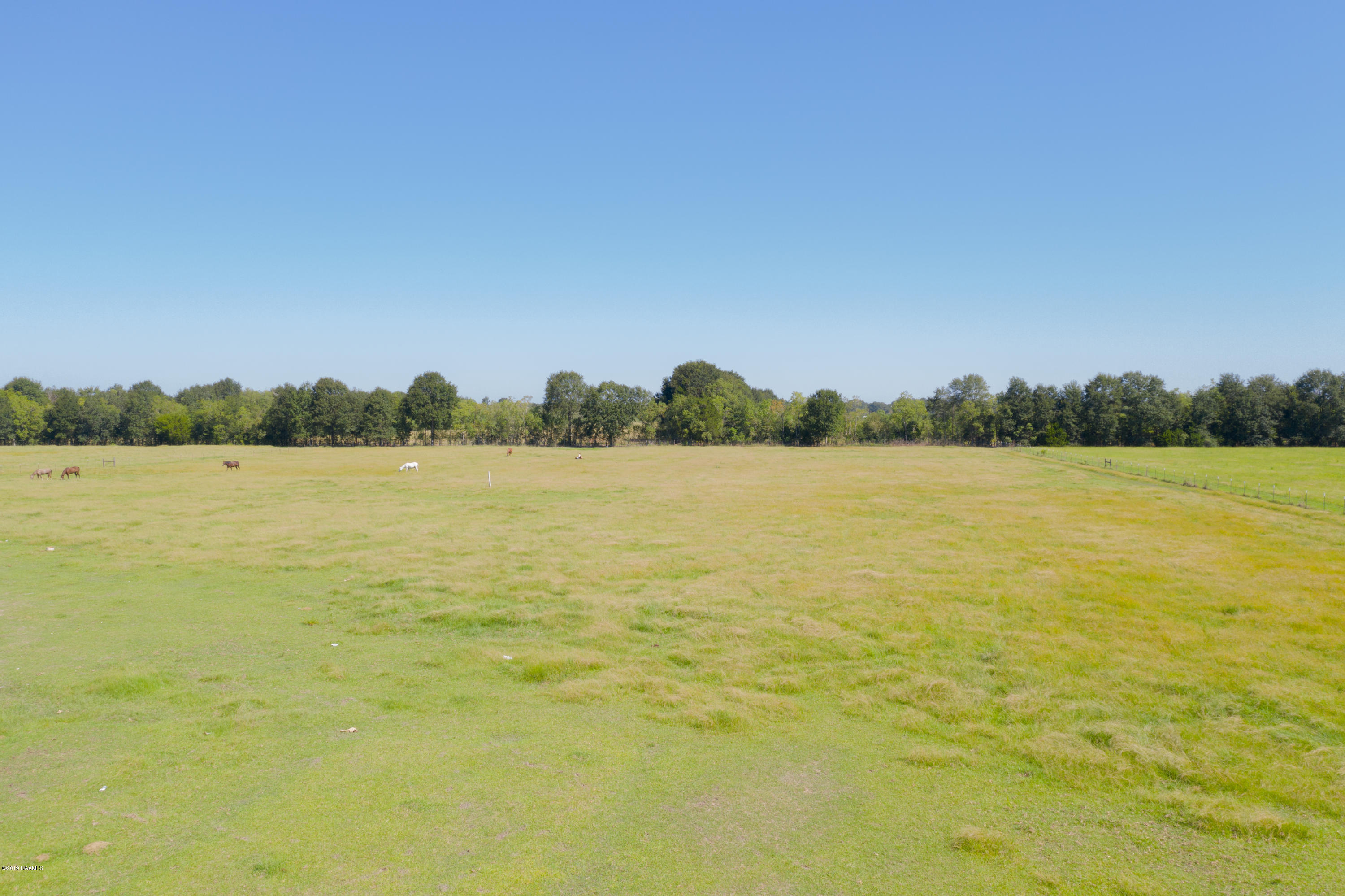 Dufilho Road Opelousas, LA 70570 - Photo 7 of 13 TBDDufilho-6
