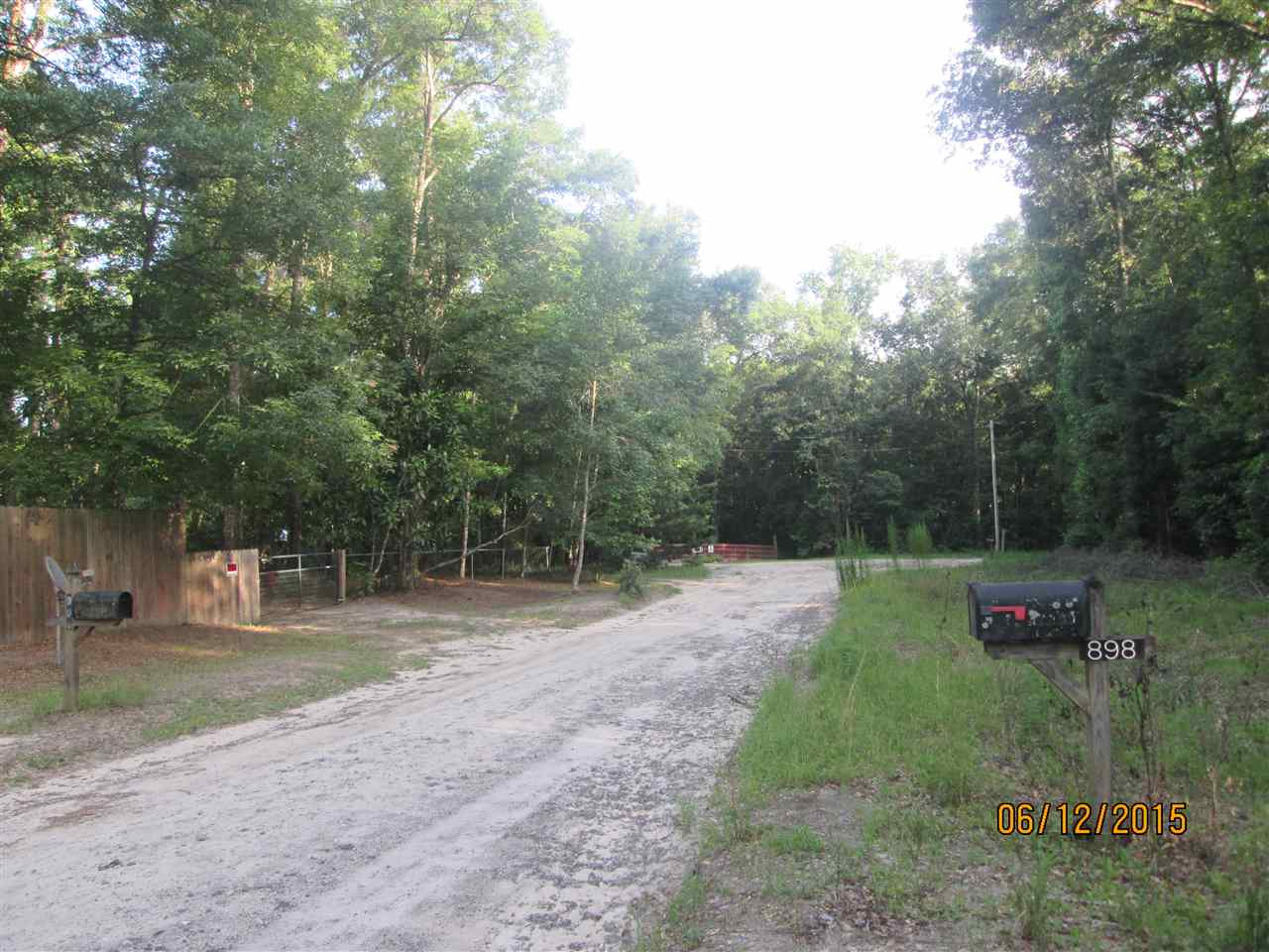 898 Forest Road Havana, FL 32333 - Photo 3 of 23 Gallery Image 3