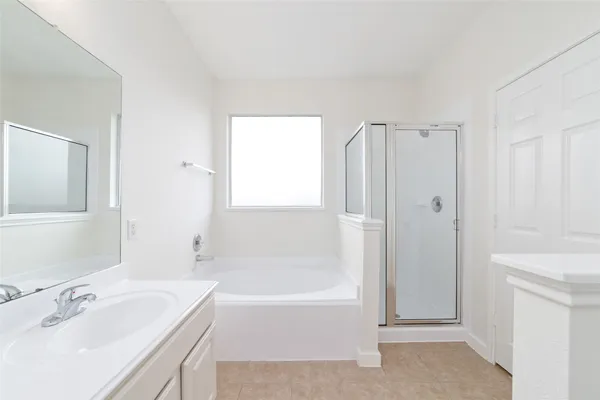 a bathroom with a tub sink vanity and a mirror