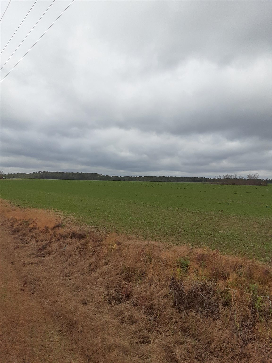 13501 Underwood Road Summerdale, AL 36580 - Photo 2 of 10