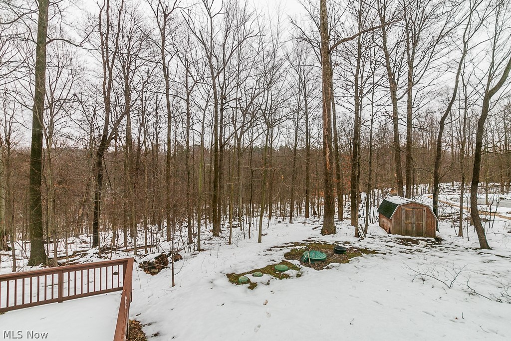 11265 Walnut Ridge Road Chesterland, OH 44026 - Photo 20 of 23 Shed and newer septic system
