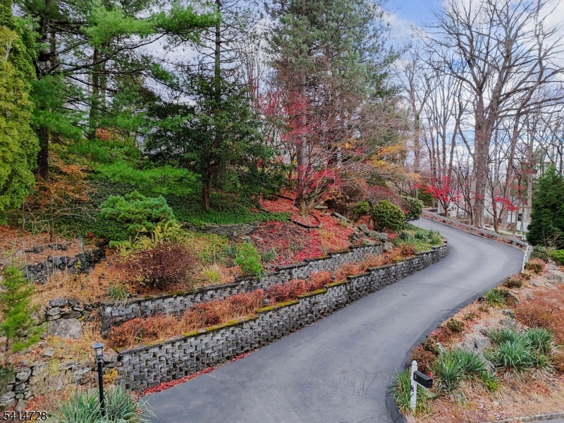 8 Union Hill Road Denville, NJ 07834 - Photo 36 of 47 a view of a garden with a pathway