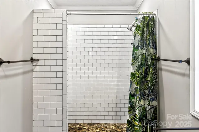 a bathroom with a shower and a plant