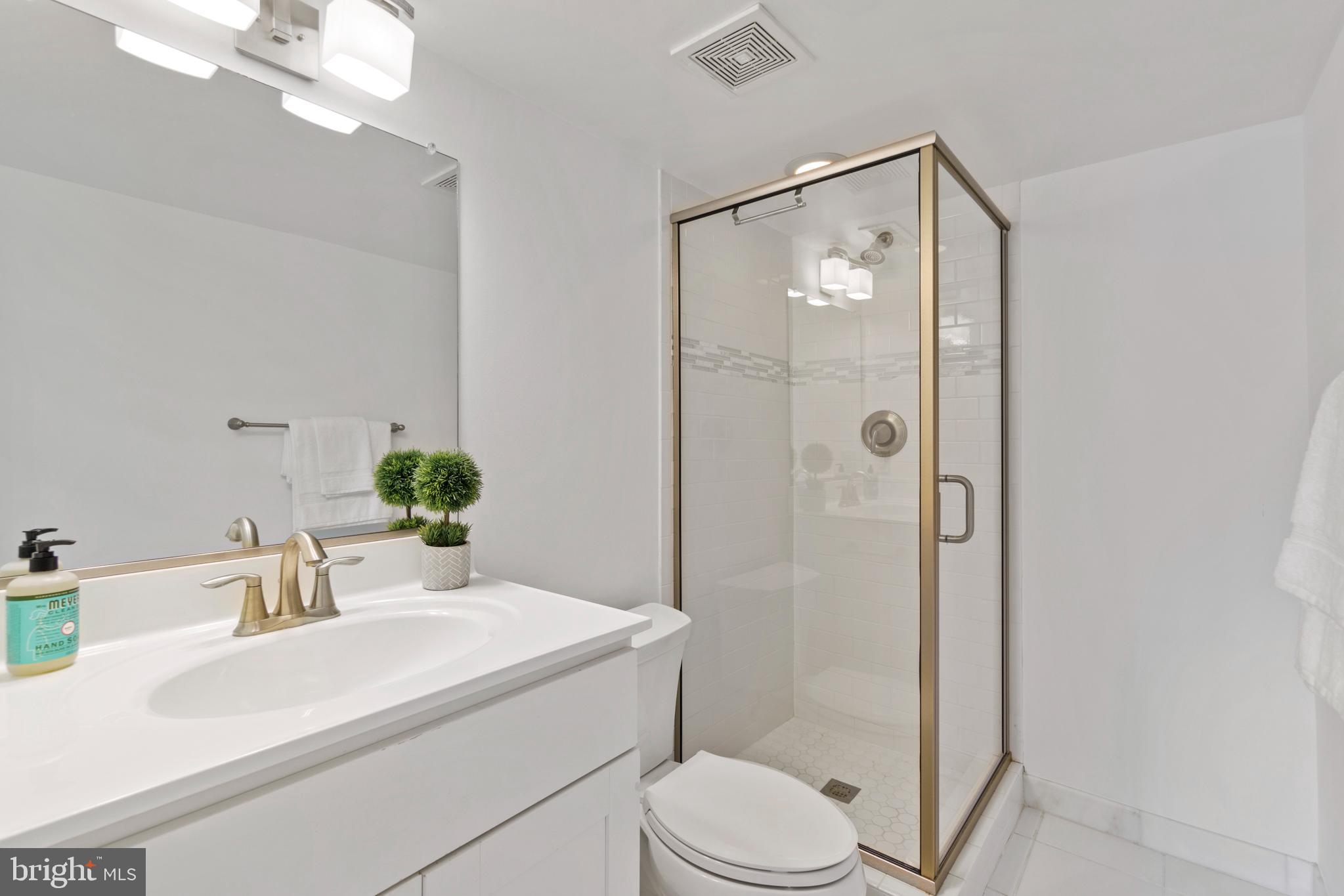 1229 Morse Street Northeast Washington, DC 20002 - Photo 16 of 38 Full bathroom in the basement