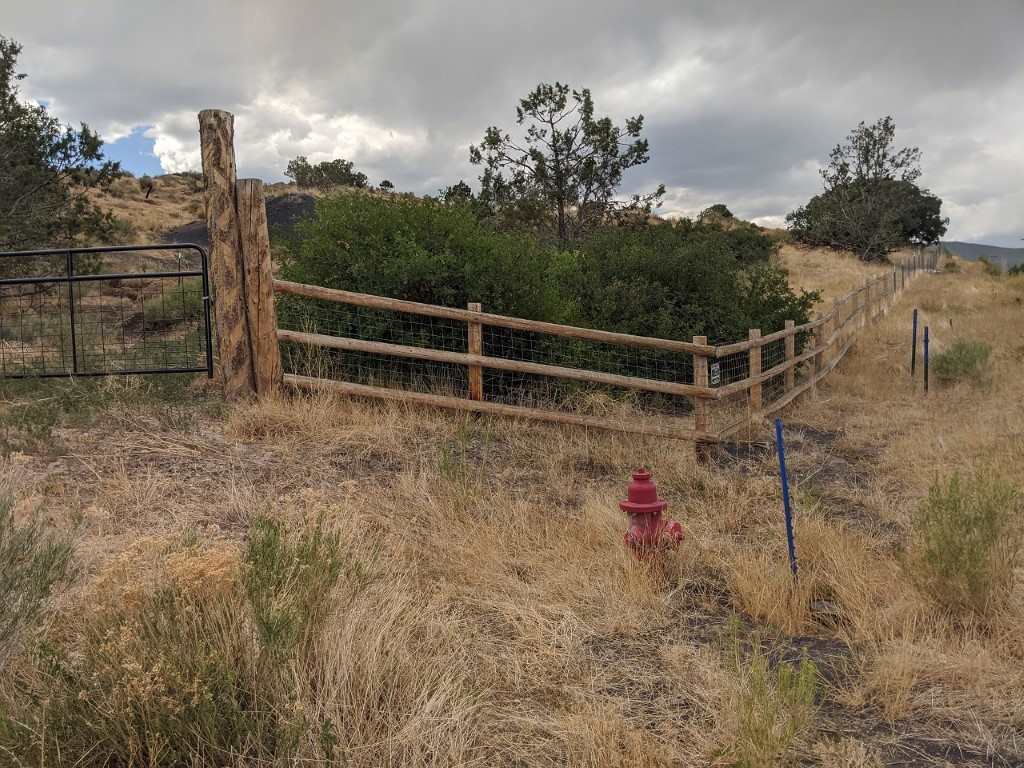 19069 Green Valley Road Cedaredge, CO 81413 - Photo 2 of 34 a view of small yard