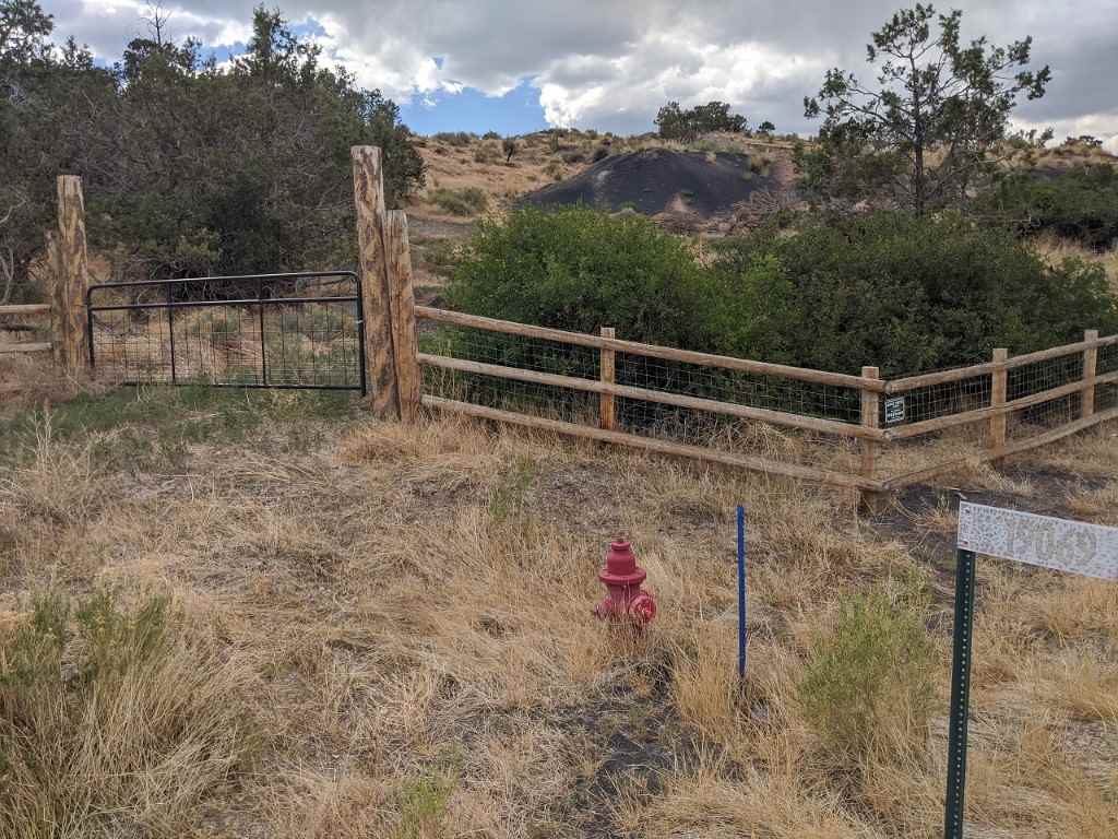 19069 Green Valley Road Cedaredge, CO 81413 - Photo 3 of 34 a view of a yard