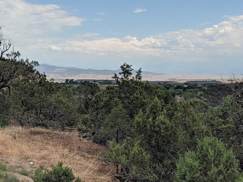 19069 Green Valley Road Cedaredge, CO 81413 - Photo 5 of 34 a view of a large body of water with lots of trees