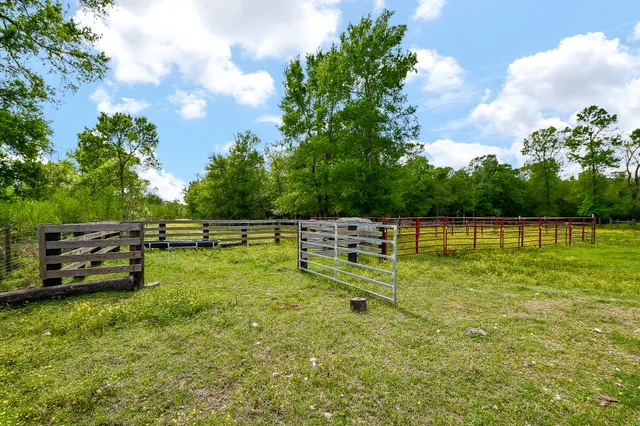 a view of a park with big trees