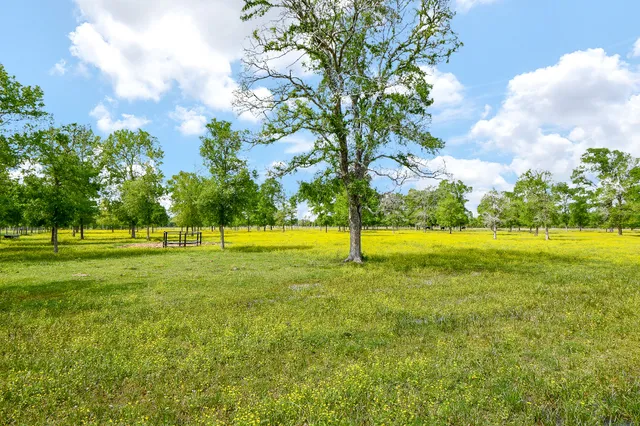 a view of park with wooden stairs