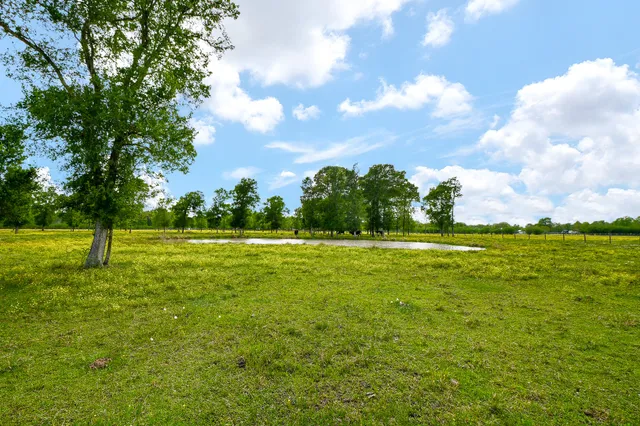 a view of a big yard