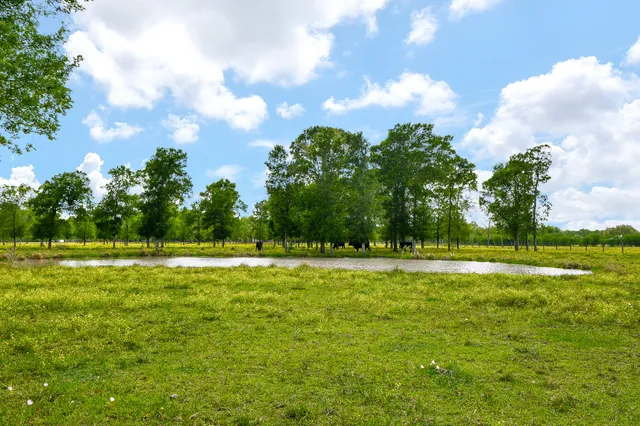 a view of a yard with an outdoor space