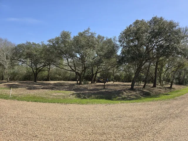 a view of a yard with a house