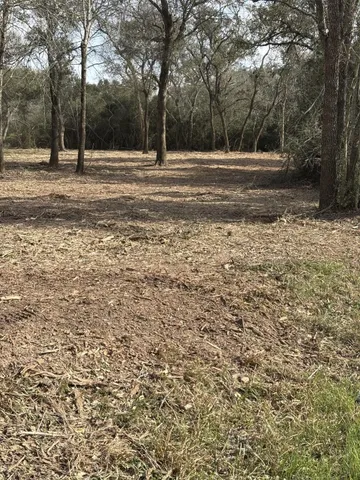 a view of a yard with a trees