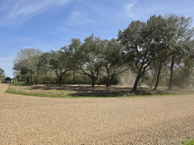 a view of yard with trees