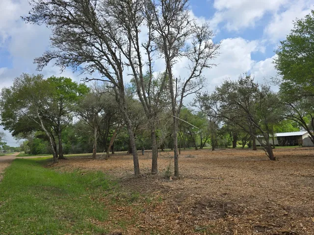 a view of outdoor space with trees