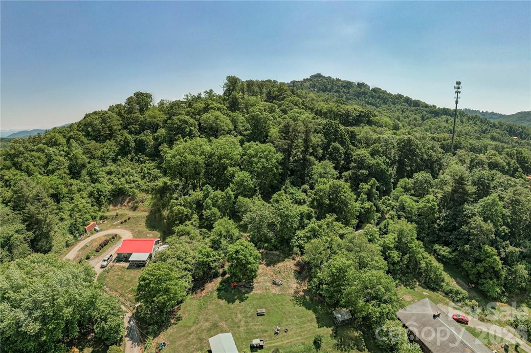 415 Weaverville Road Asheville, NC 28804 - Photo 43 of 47