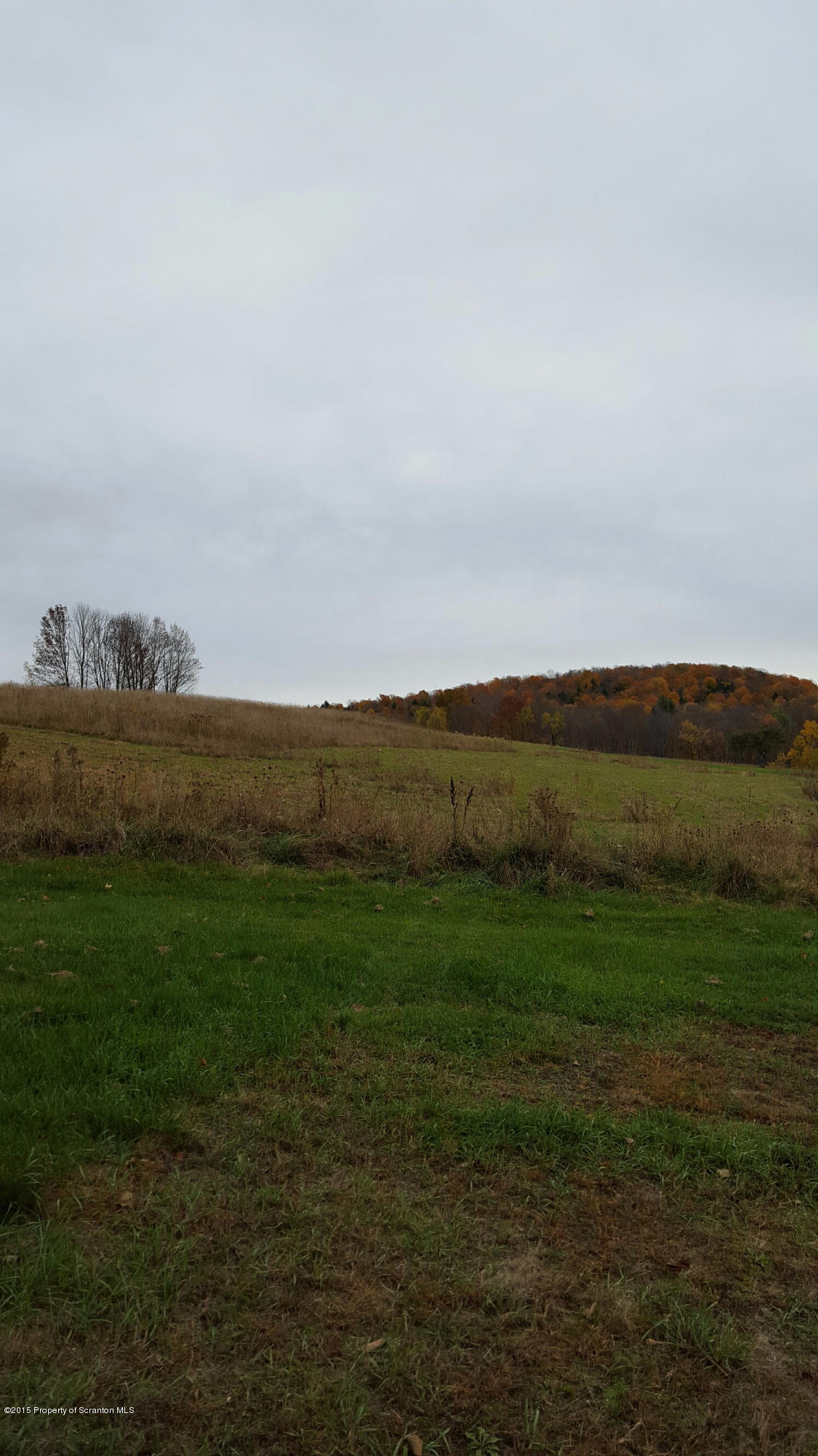 611 Sutton Road New Milford, PA 18834 - Photo 20 of 20 Gallery Image 20