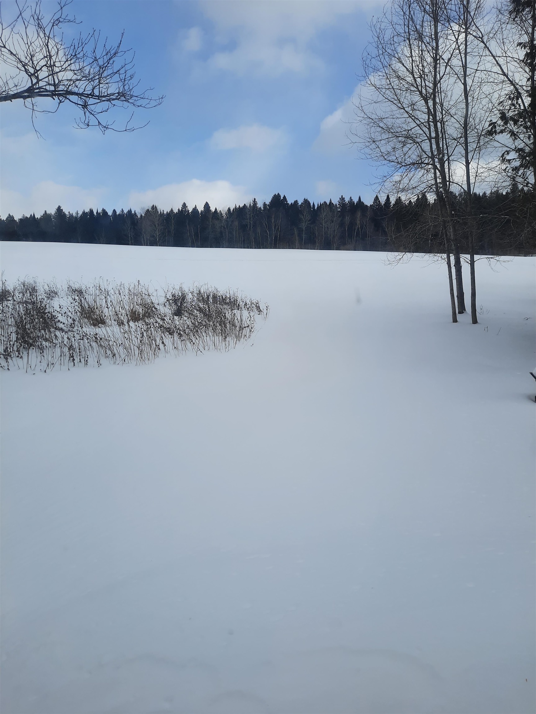 423 Highway 114 Norton, VT 05907 - Photo 38 of 39