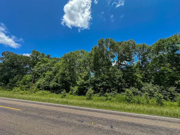 a view of a yard with an tree