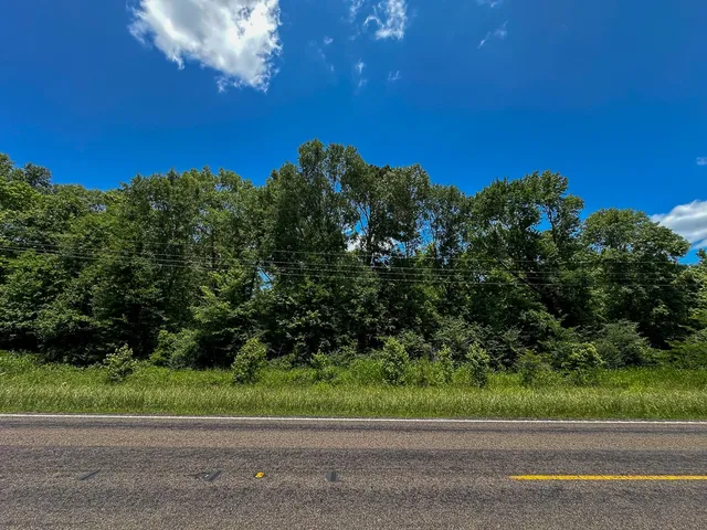 a view of a yard with an trees